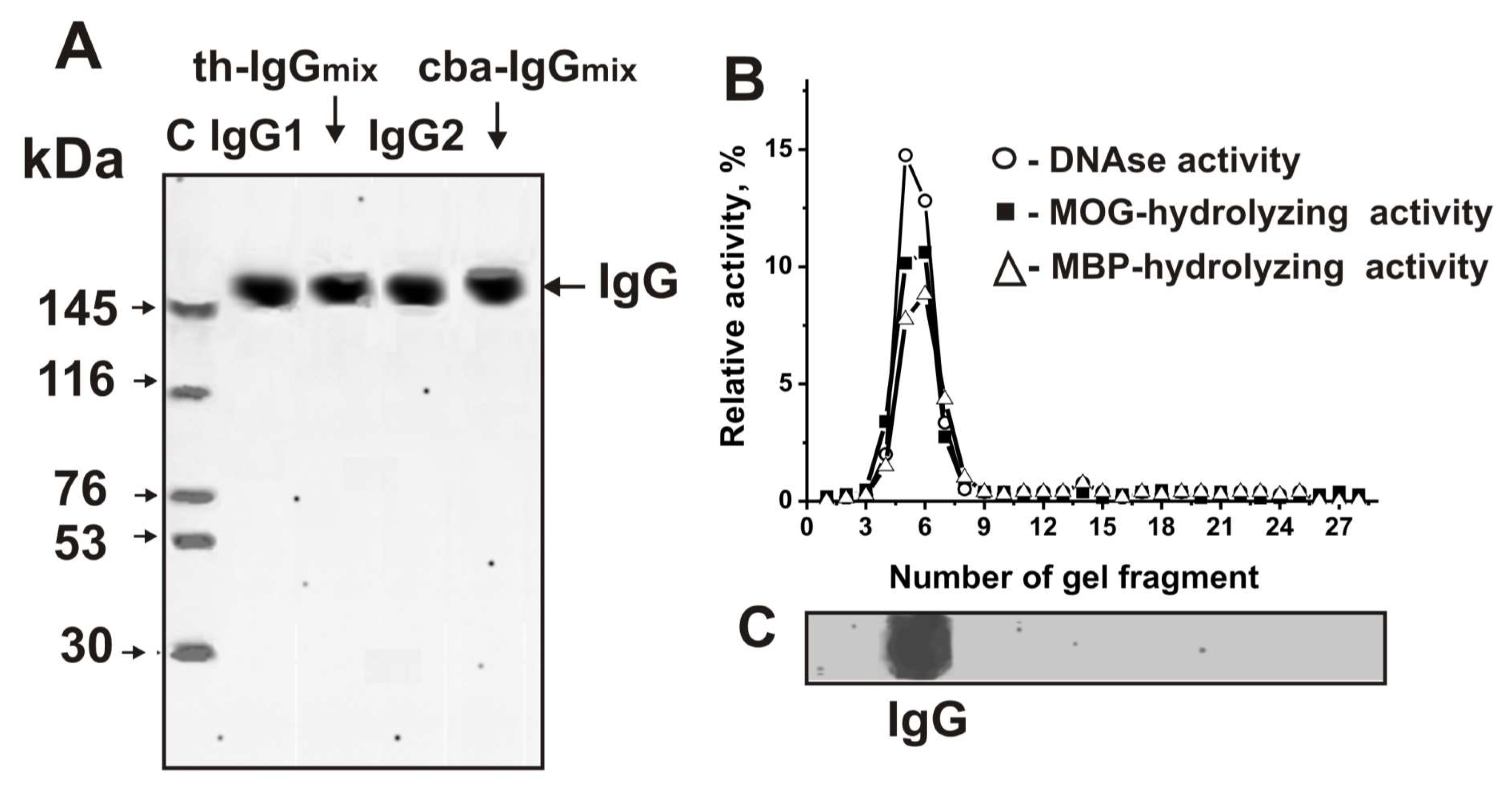 Biomolecules 10 00053 g008 Biomolecules 10 00053 g008