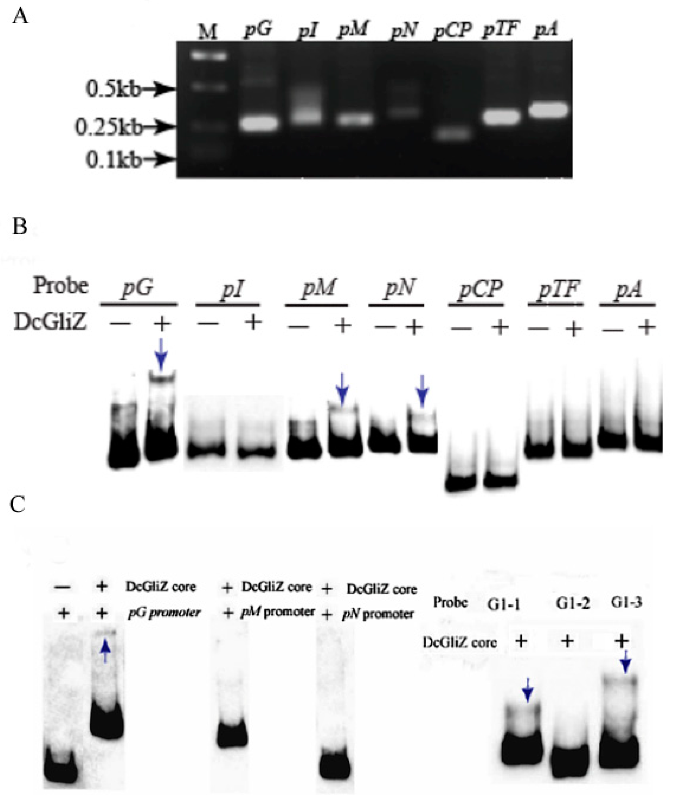Biomolecules 10 00056 g004 Biomolecules 10 00056 g004