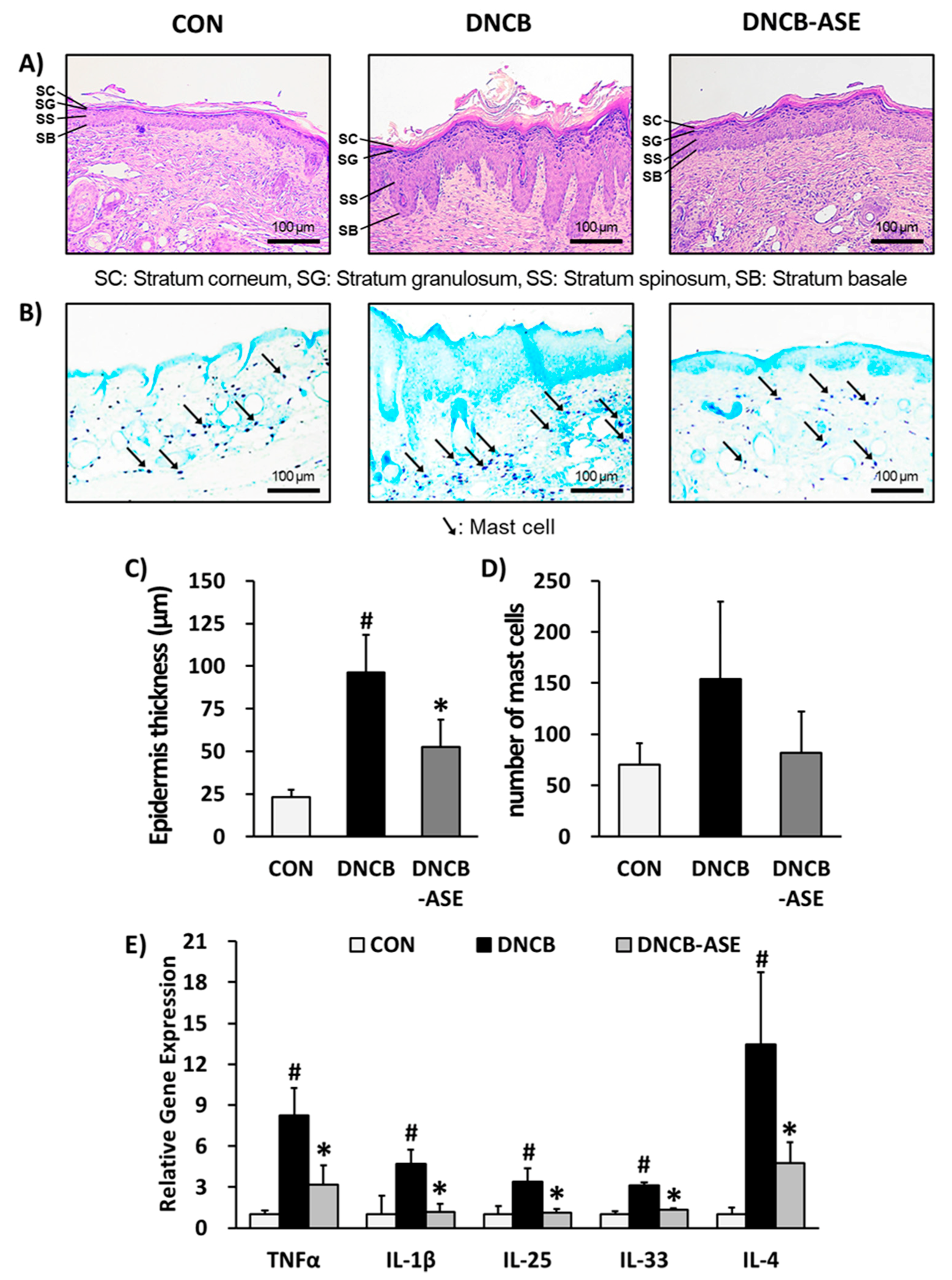 Biomolecules 10 00057 g003 Biomolecules 10 00057 g003