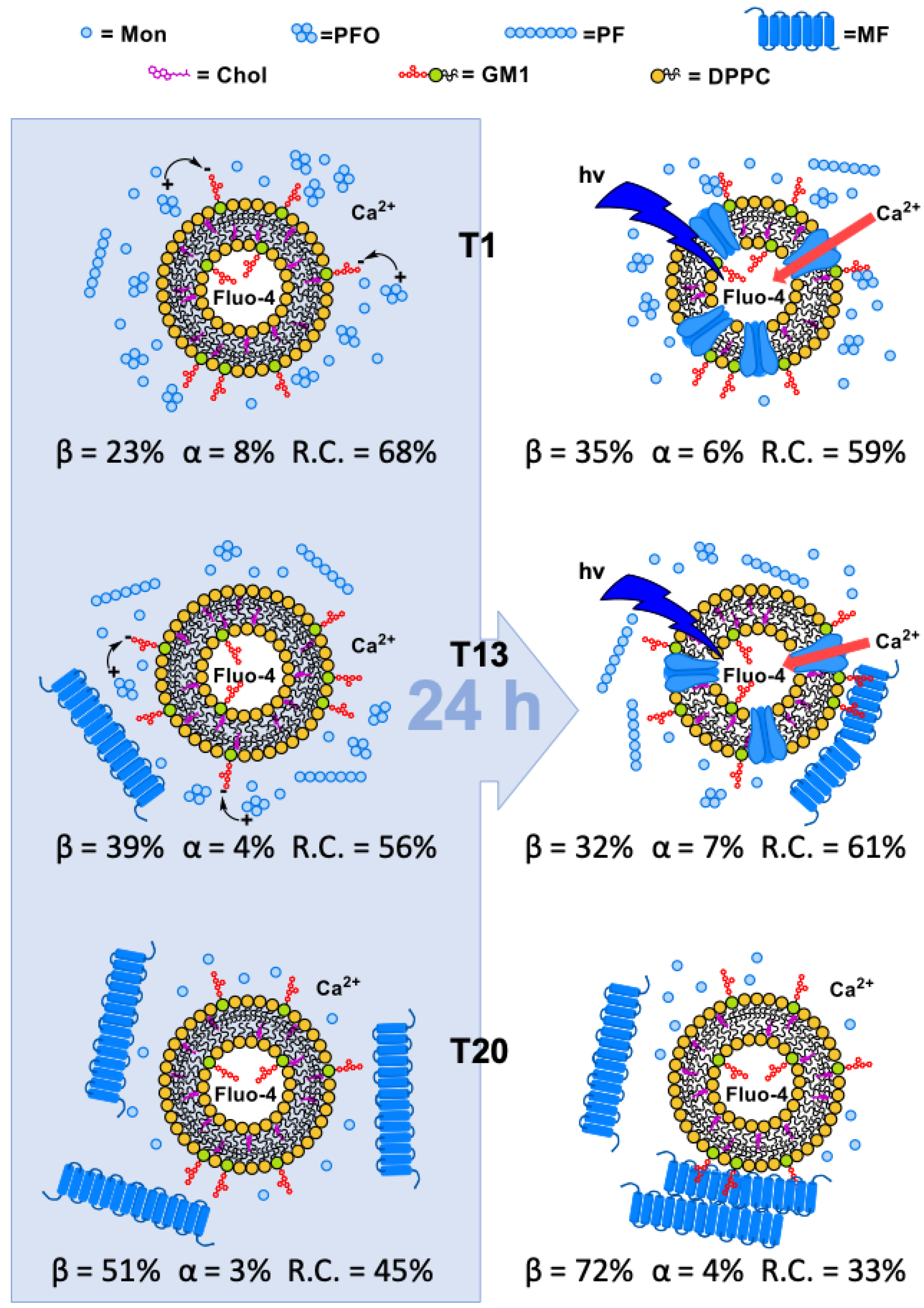 Biomolecules 10 00058 g012 Biomolecules 10 00058 g012