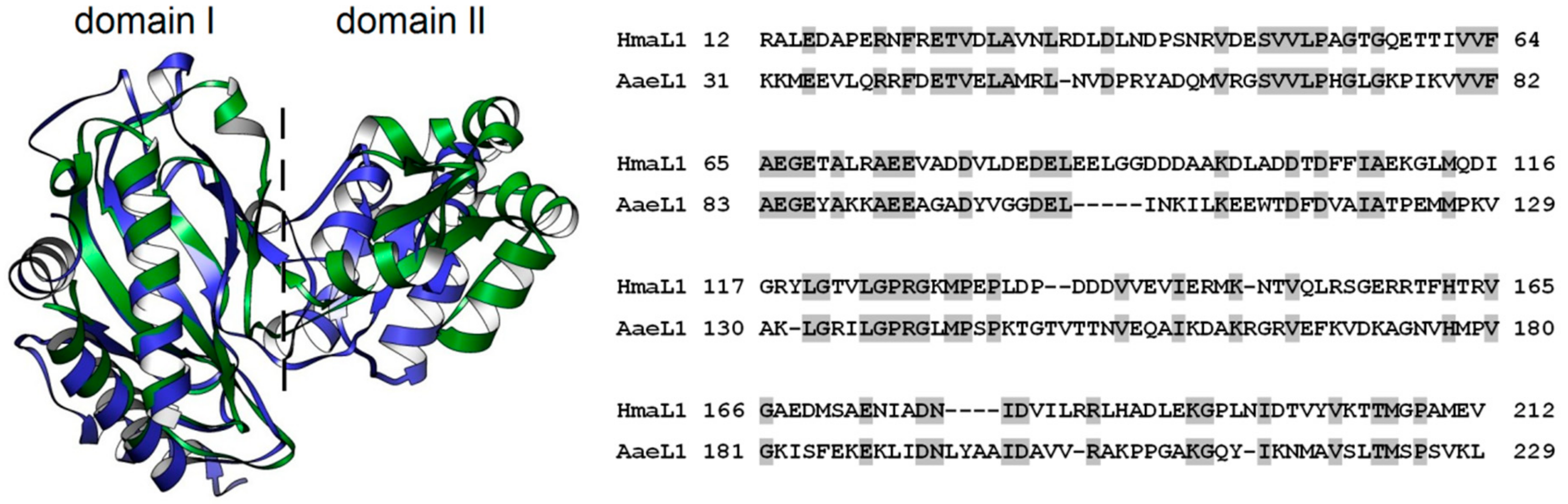 Biomolecules 10 00064 g005