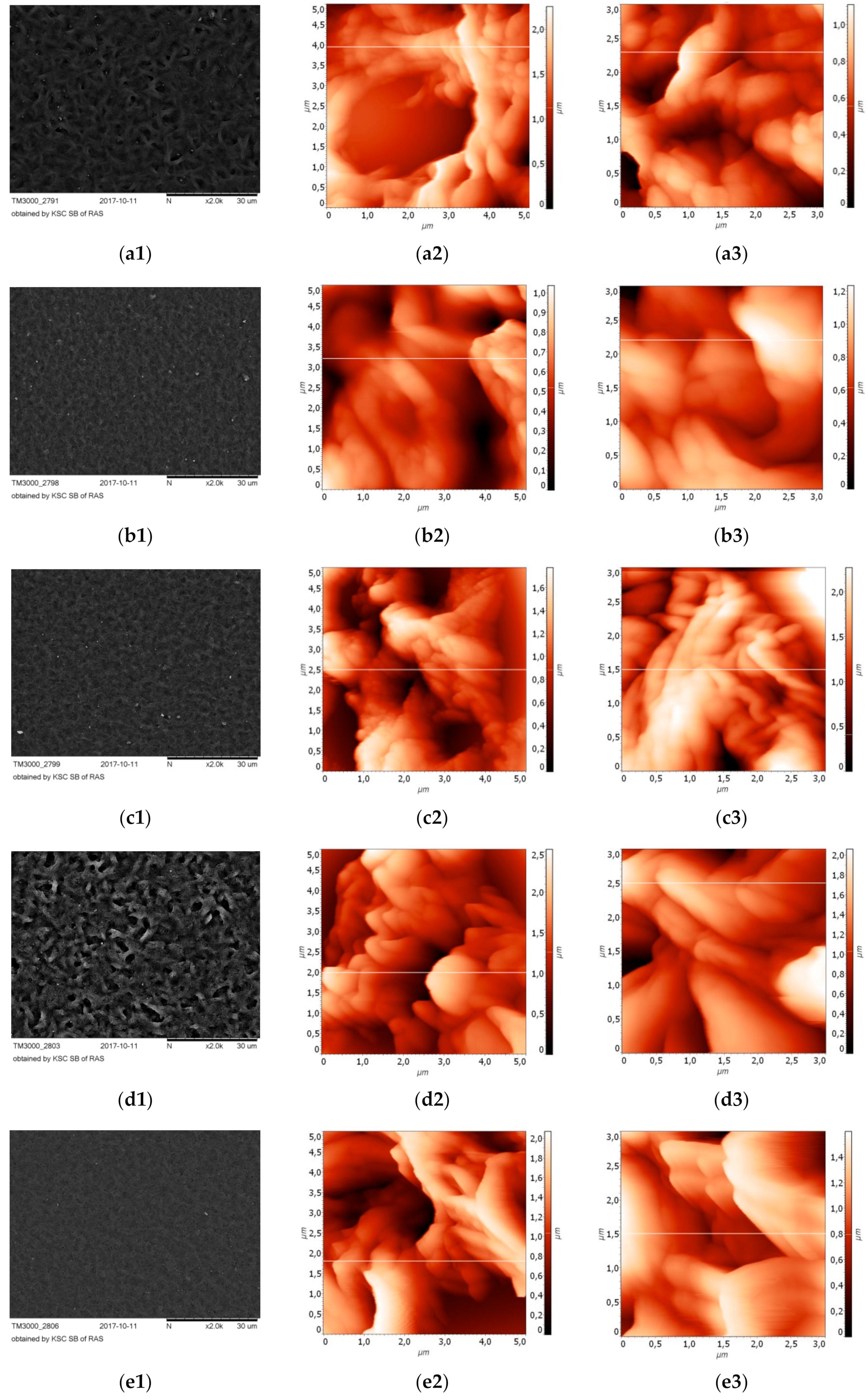 Biomolecules 10 00065 g001 Biomolecules 10 00065 g001