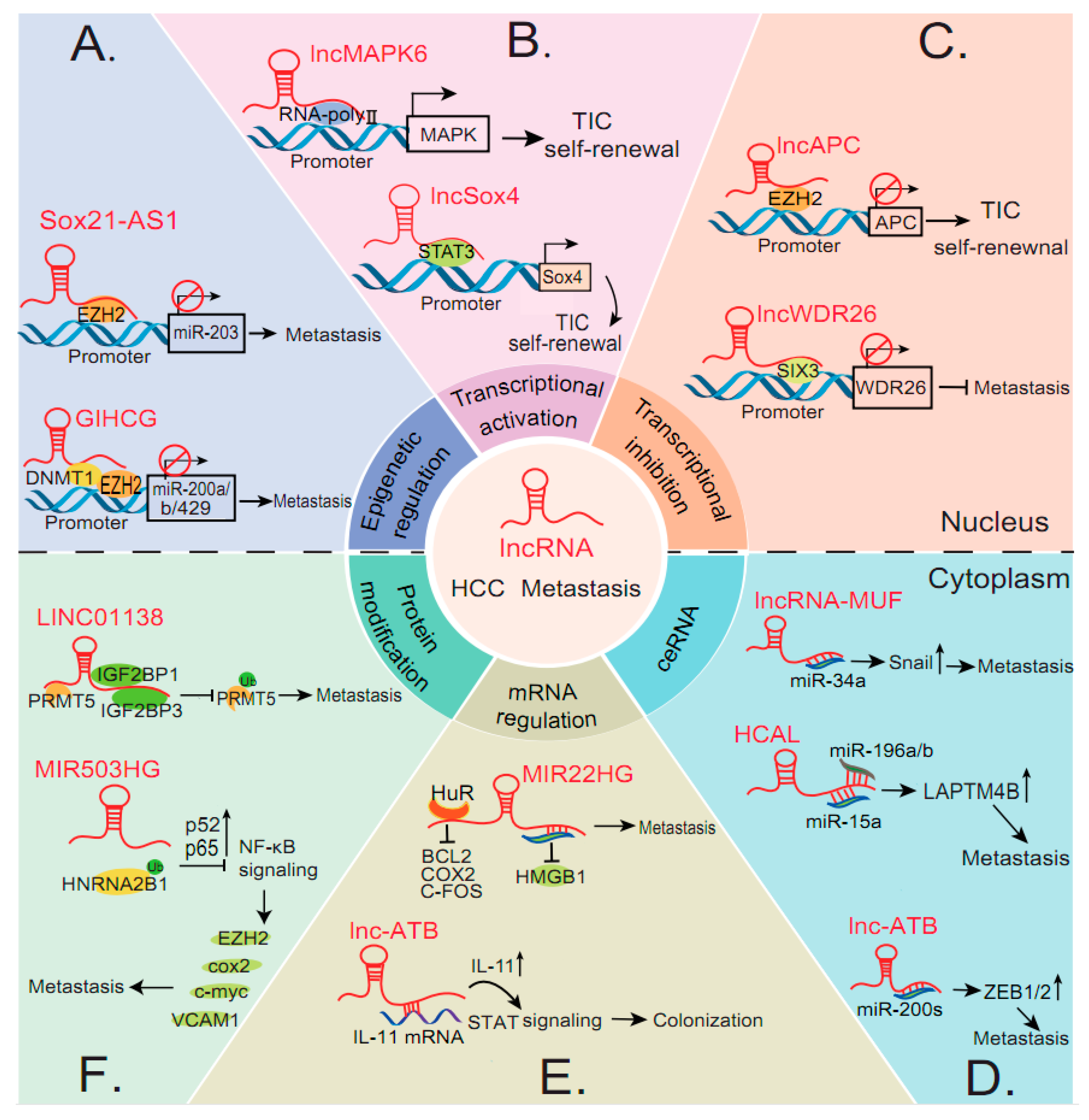 Biomolecules 10 00066 g001 Biomolecules 10 00066 g001