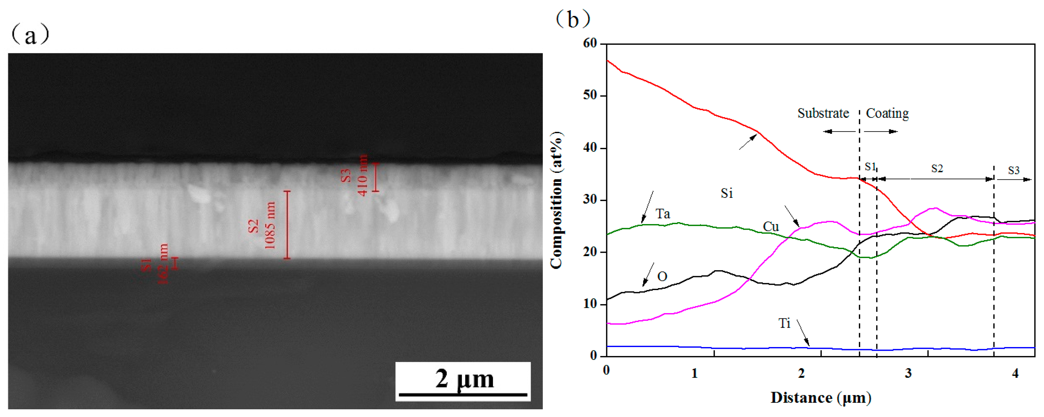 Biomolecules 10 00068 g006 Biomolecules 10 00068 g006
