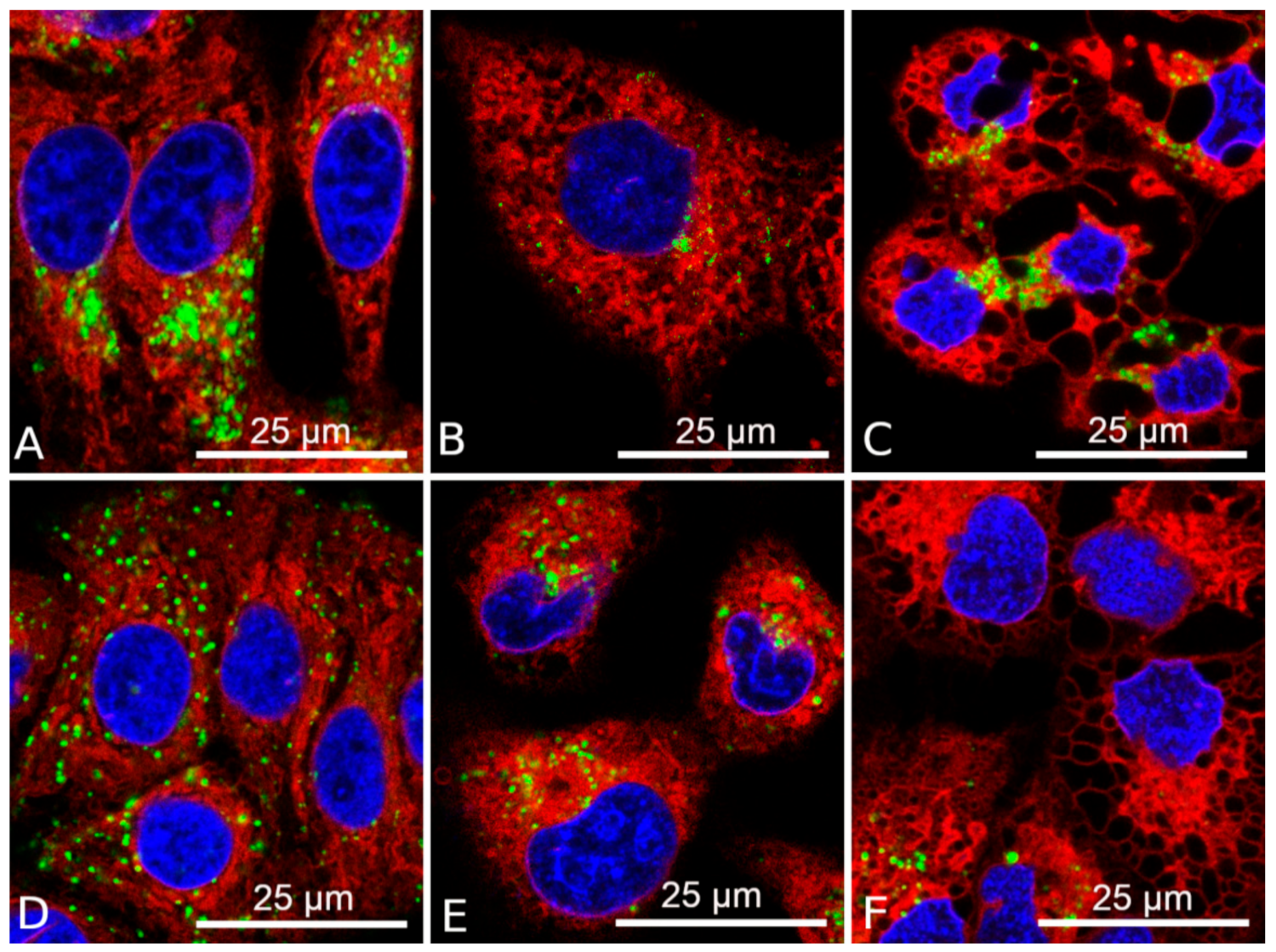 Biomolecules 10 00069 g005 Biomolecules 10 00069 g005