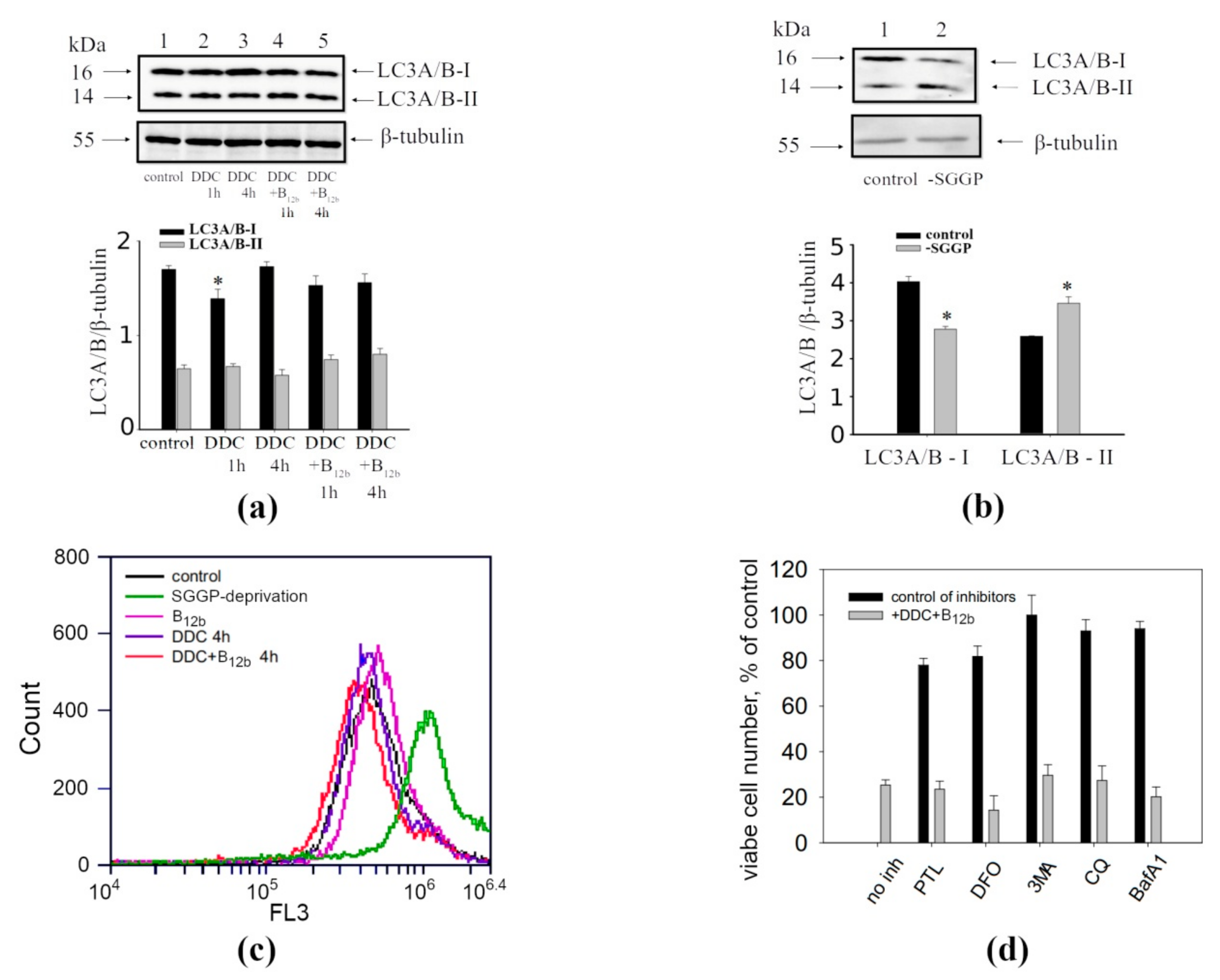 Biomolecules 10 00069 g006 Biomolecules 10 00069 g006