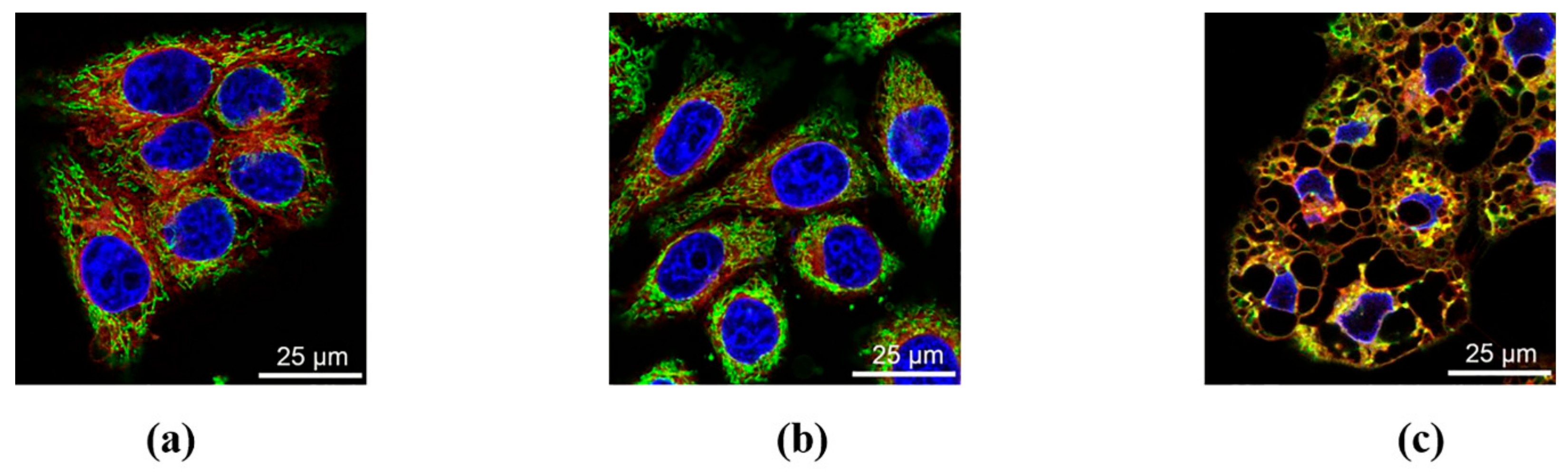 Biomolecules 10 00069 g007 Biomolecules 10 00069 g007