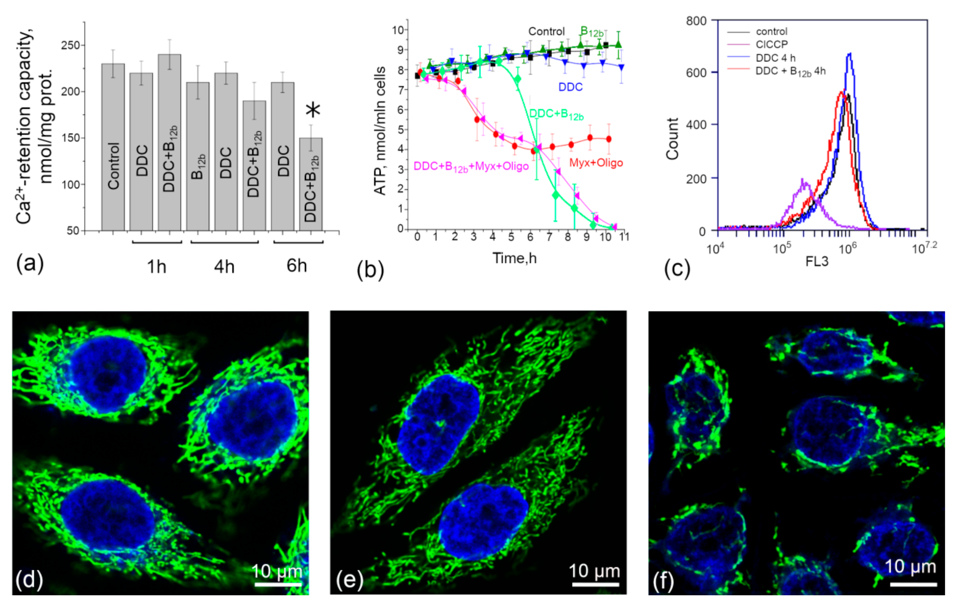 Biomolecules 10 00069 g008 Biomolecules 10 00069 g008