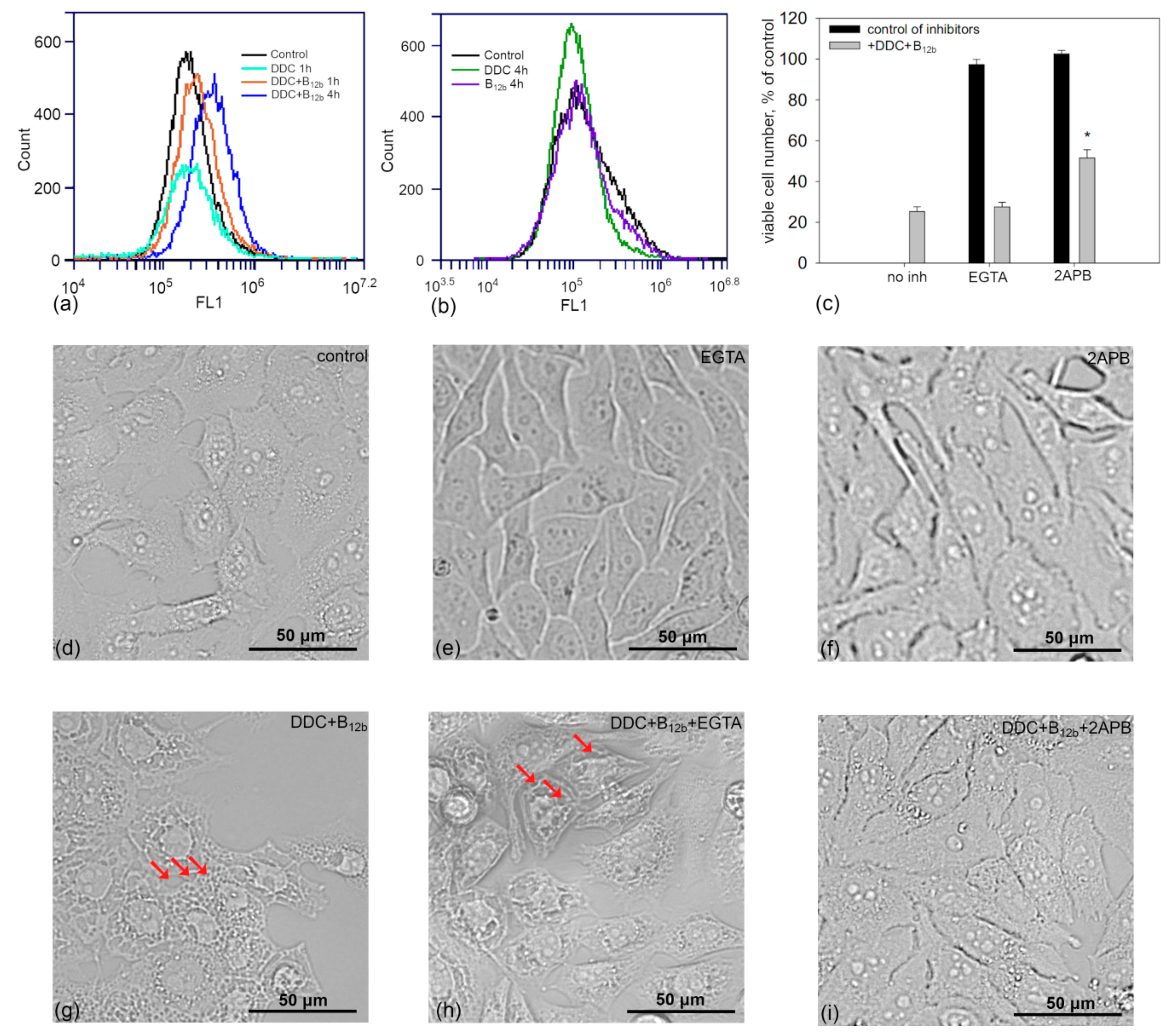 Biomolecules 10 00069 g011 Biomolecules 10 00069 g011