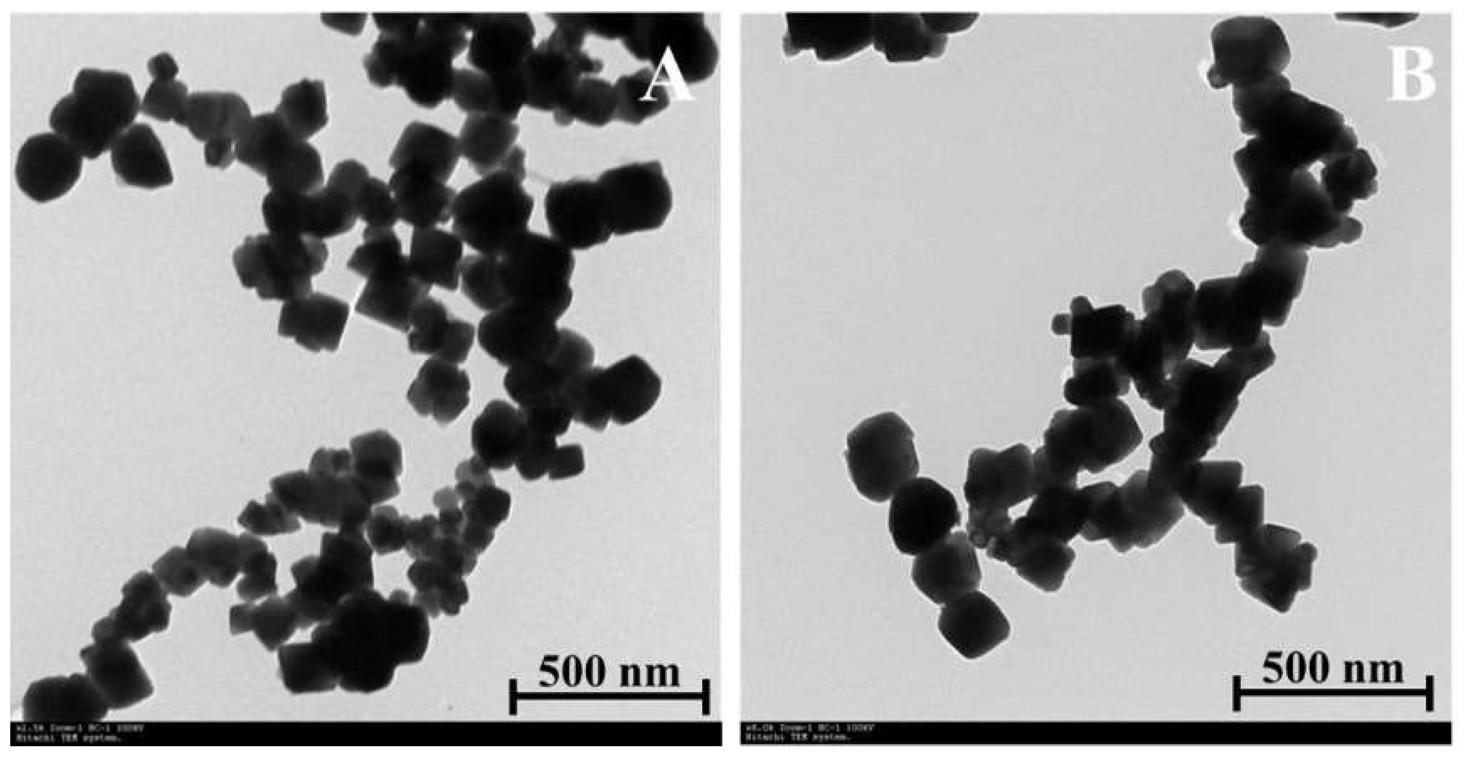Biomolecules 10 00073 g004 Biomolecules 10 00073 g004