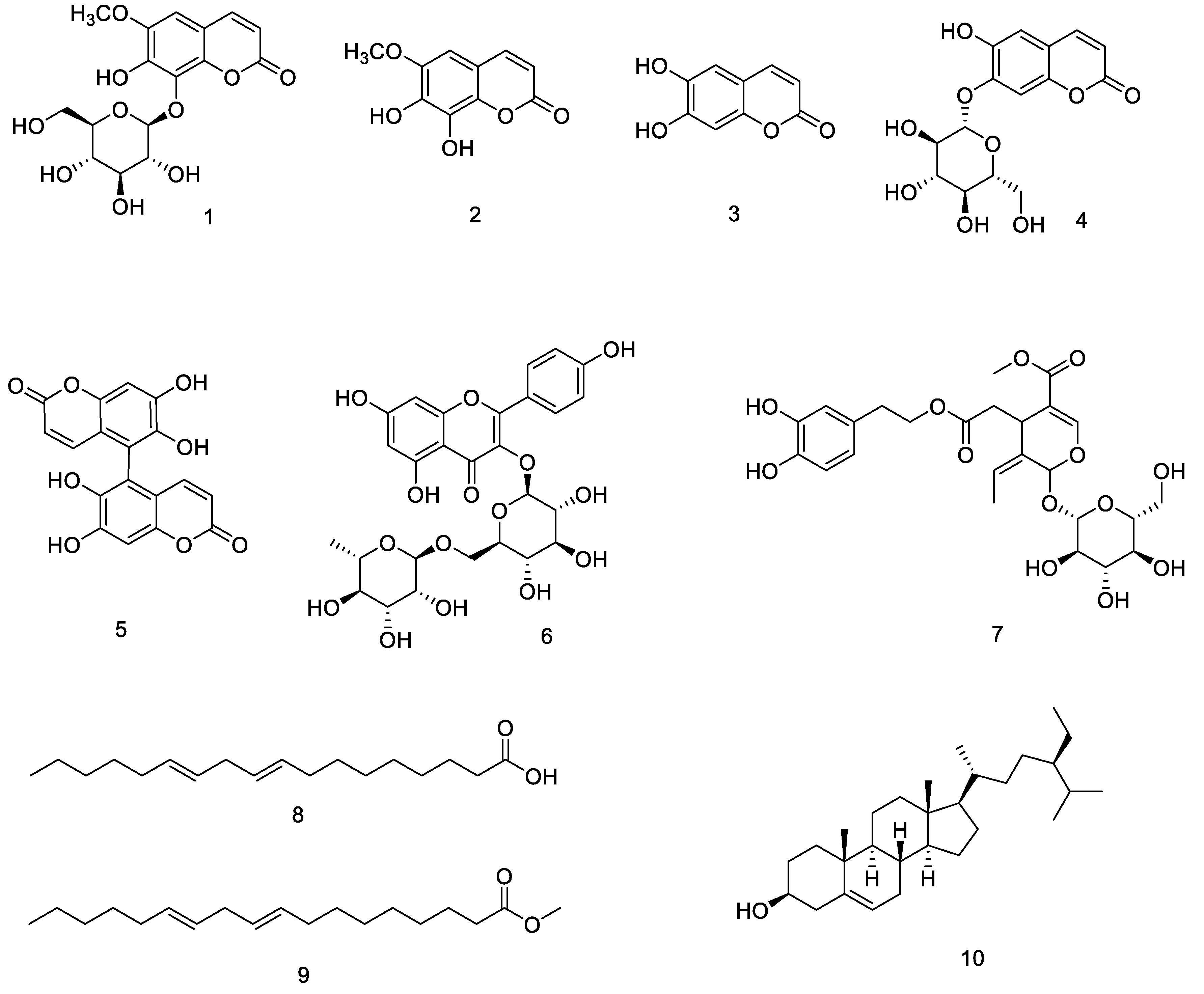 Biomolecules 10 00074 g001