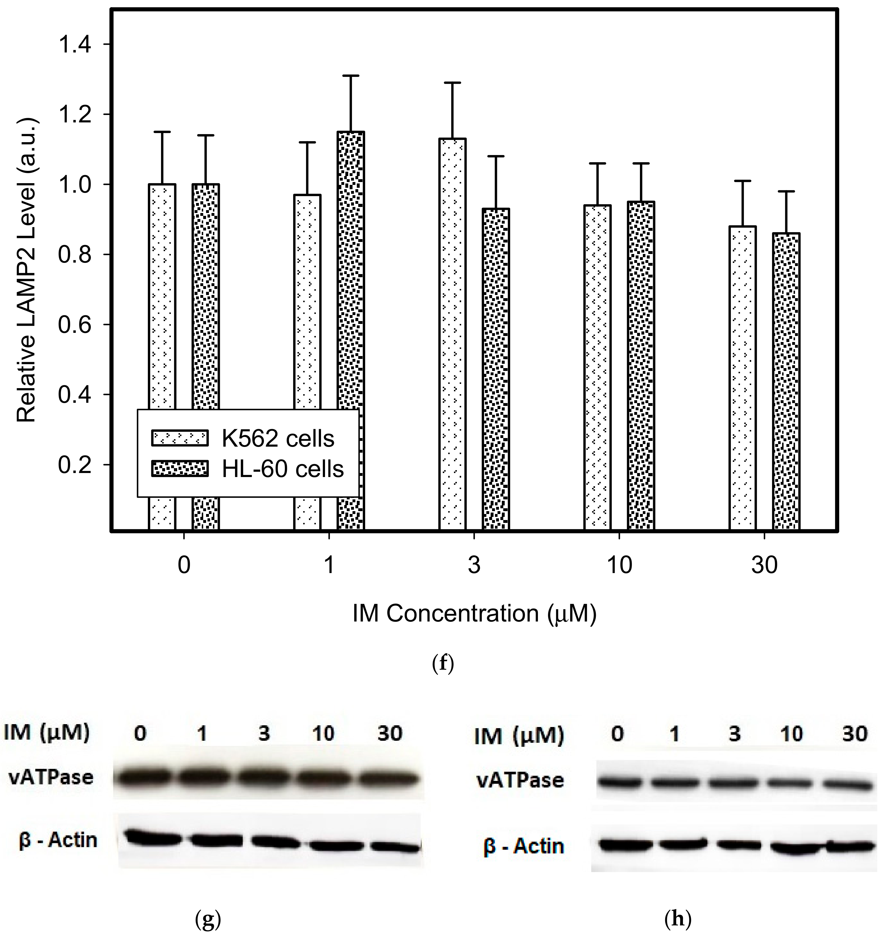Biomolecules 10 00077 g003c