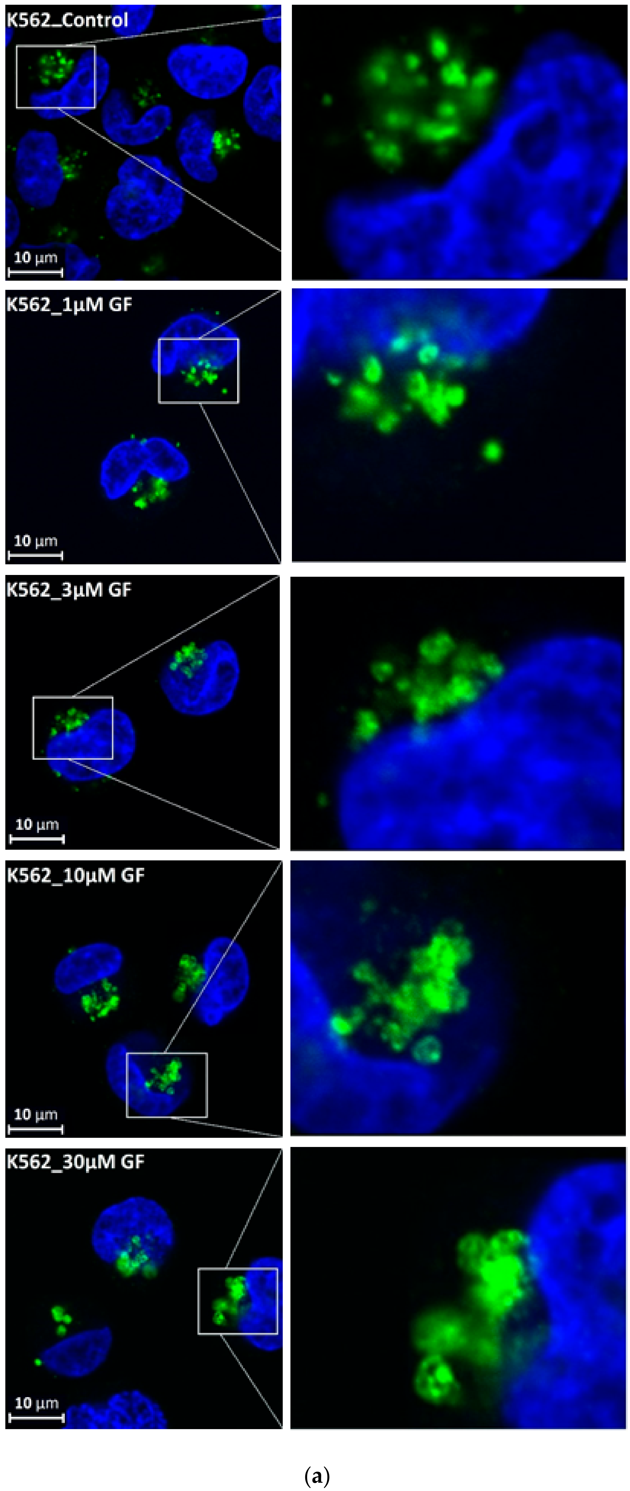 Biomolecules 10 00077 g005a