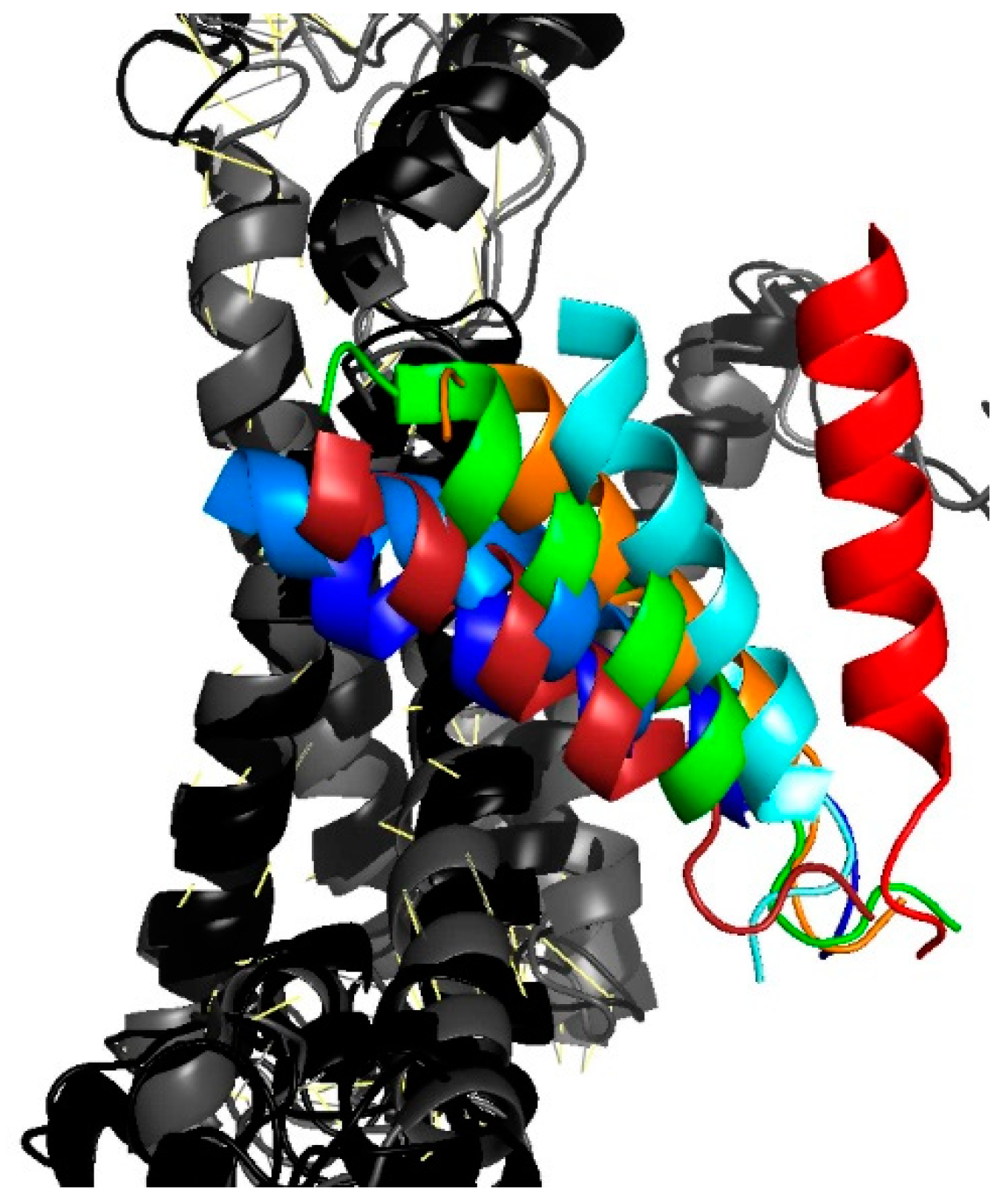 Biomolecules 10 00078 g004
