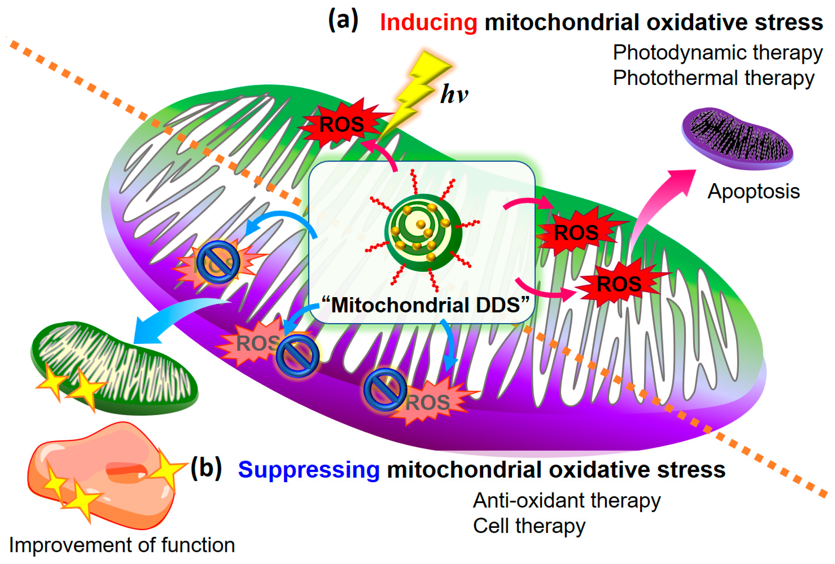 Biomolecules 10 00083 g001 Biomolecules 10 00083 g001