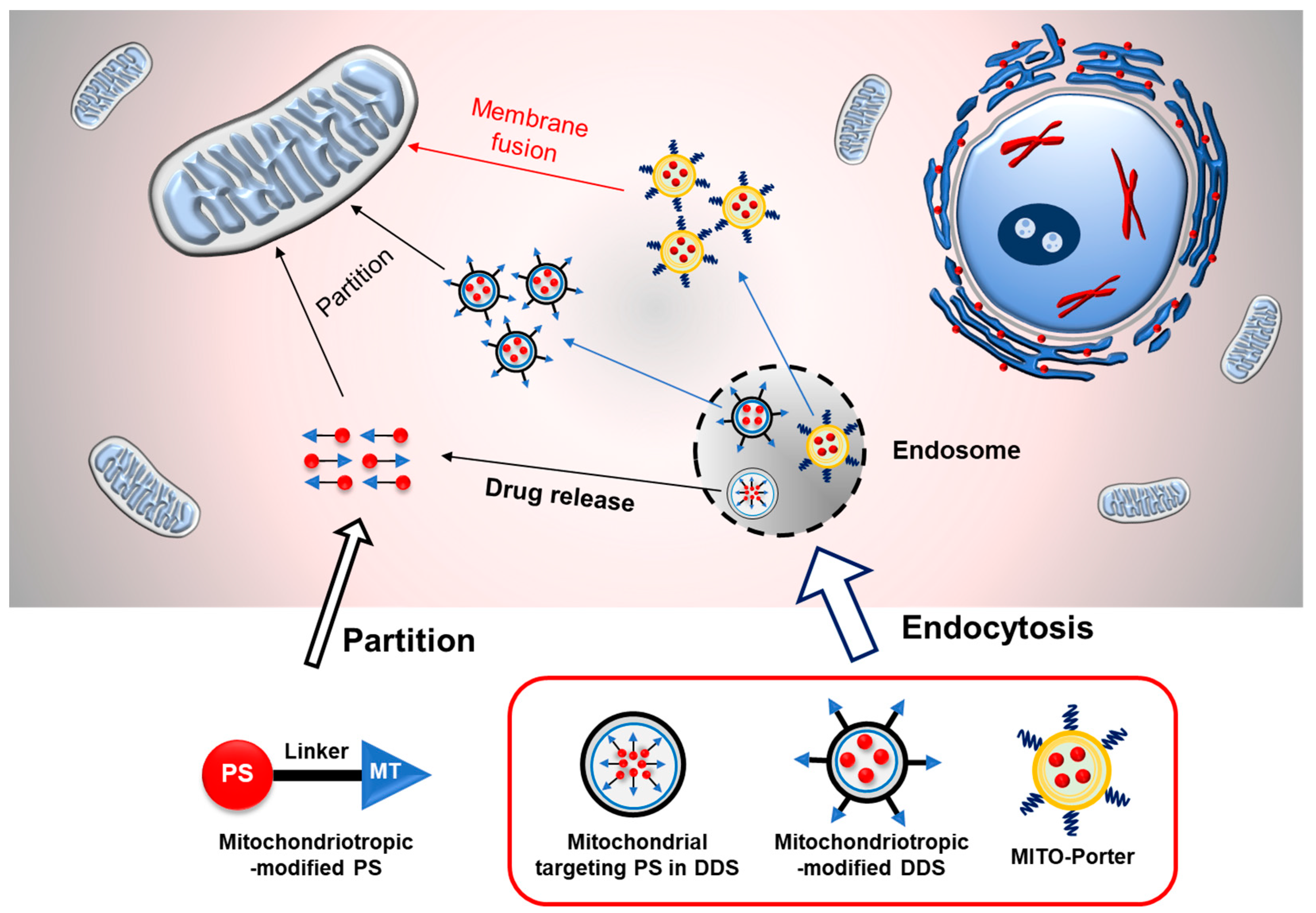 Biomolecules 10 00083 g003 Biomolecules 10 00083 g003