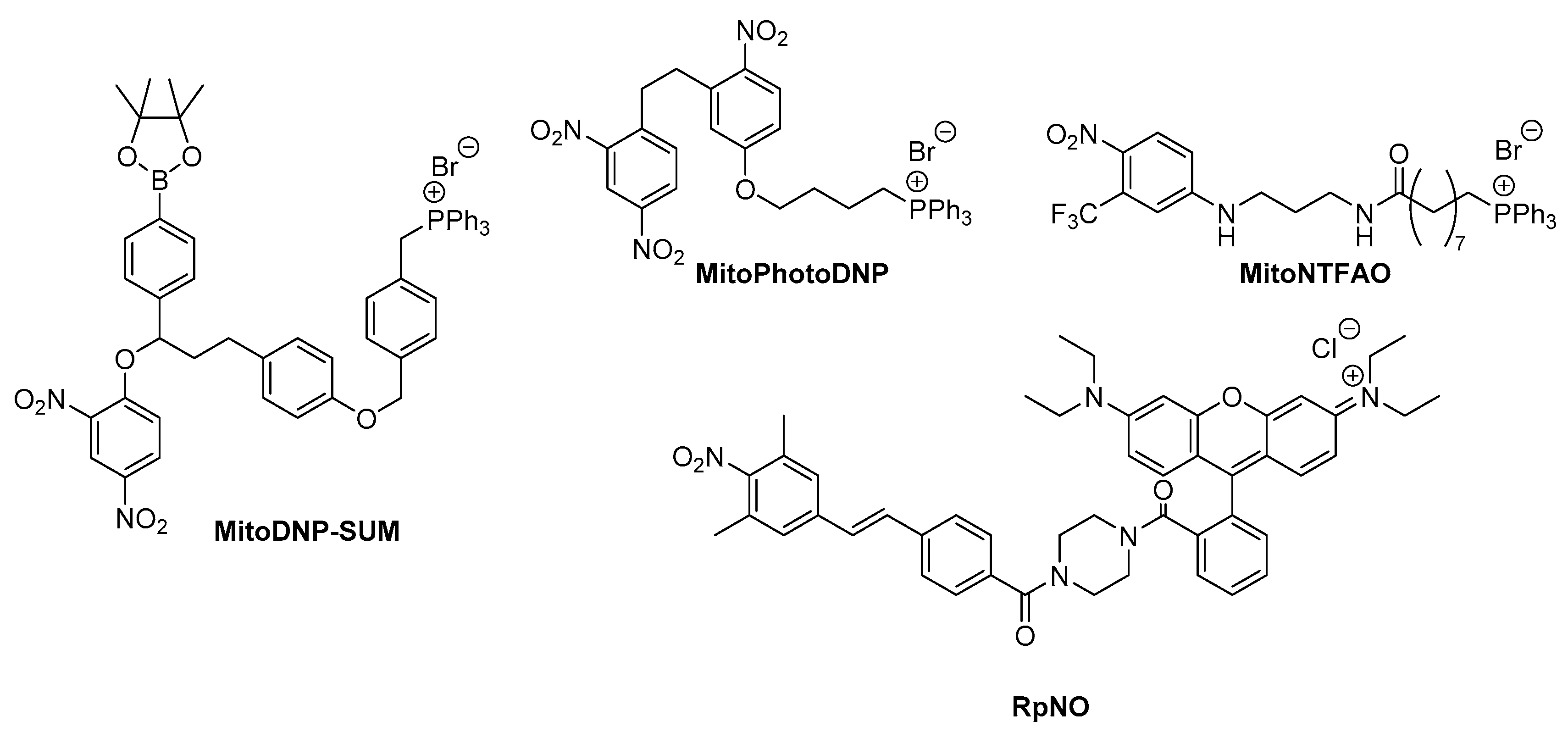 Biomolecules 10 00083 g005 Biomolecules 10 00083 g005