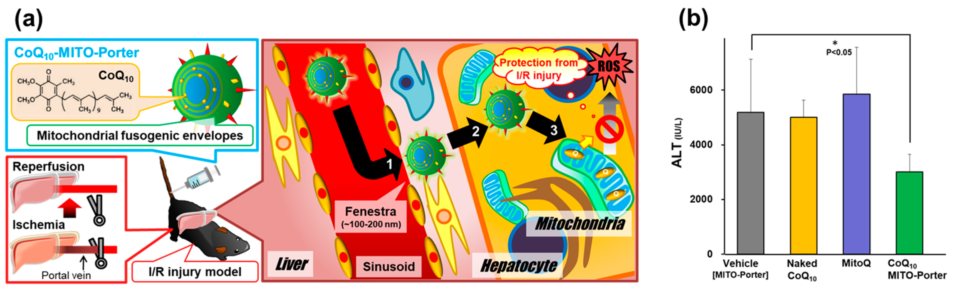 Biomolecules 10 00083 g006 Biomolecules 10 00083 g006