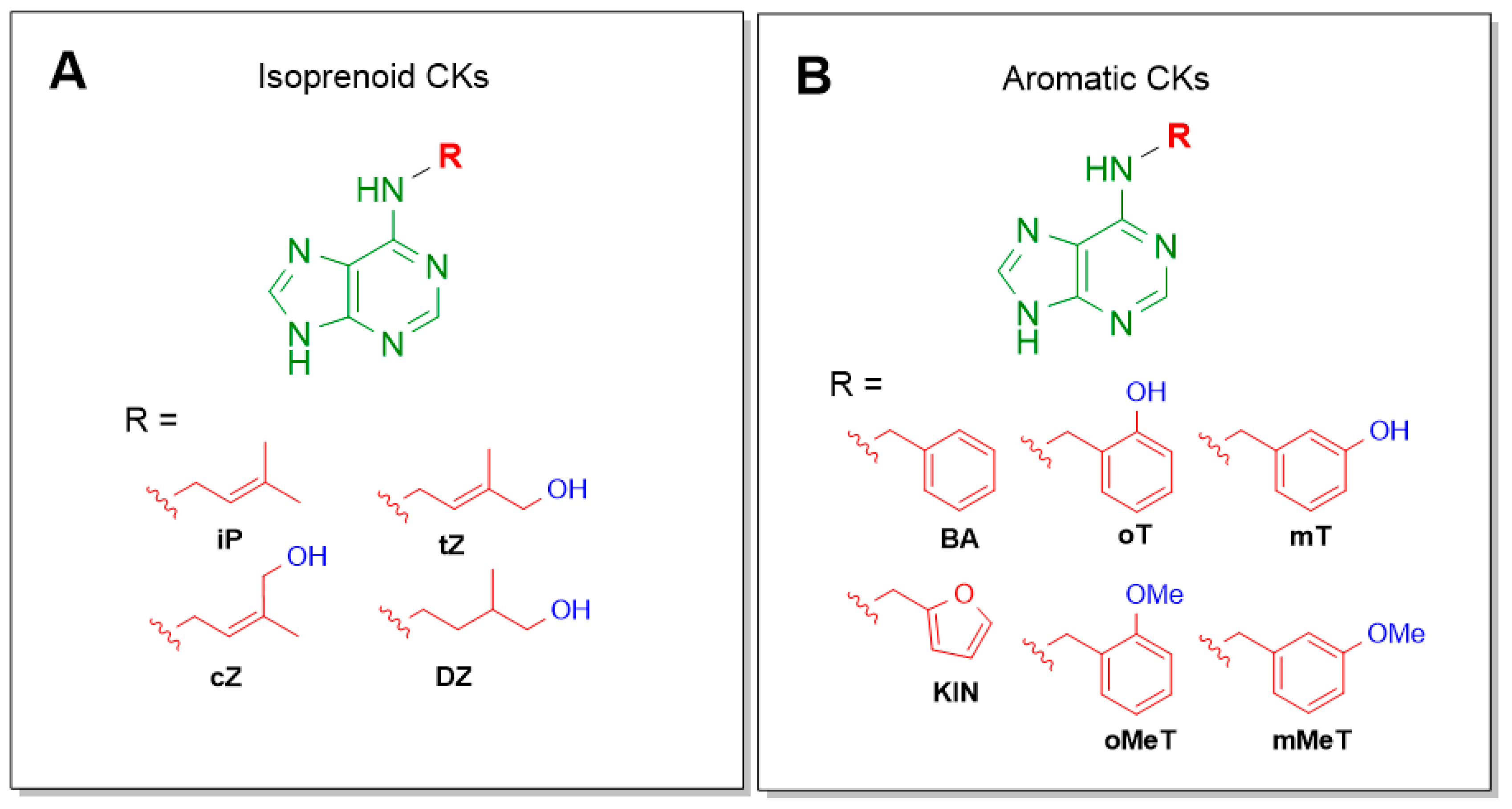 Biomolecules 10 00086 g001 Biomolecules 10 00086 g001