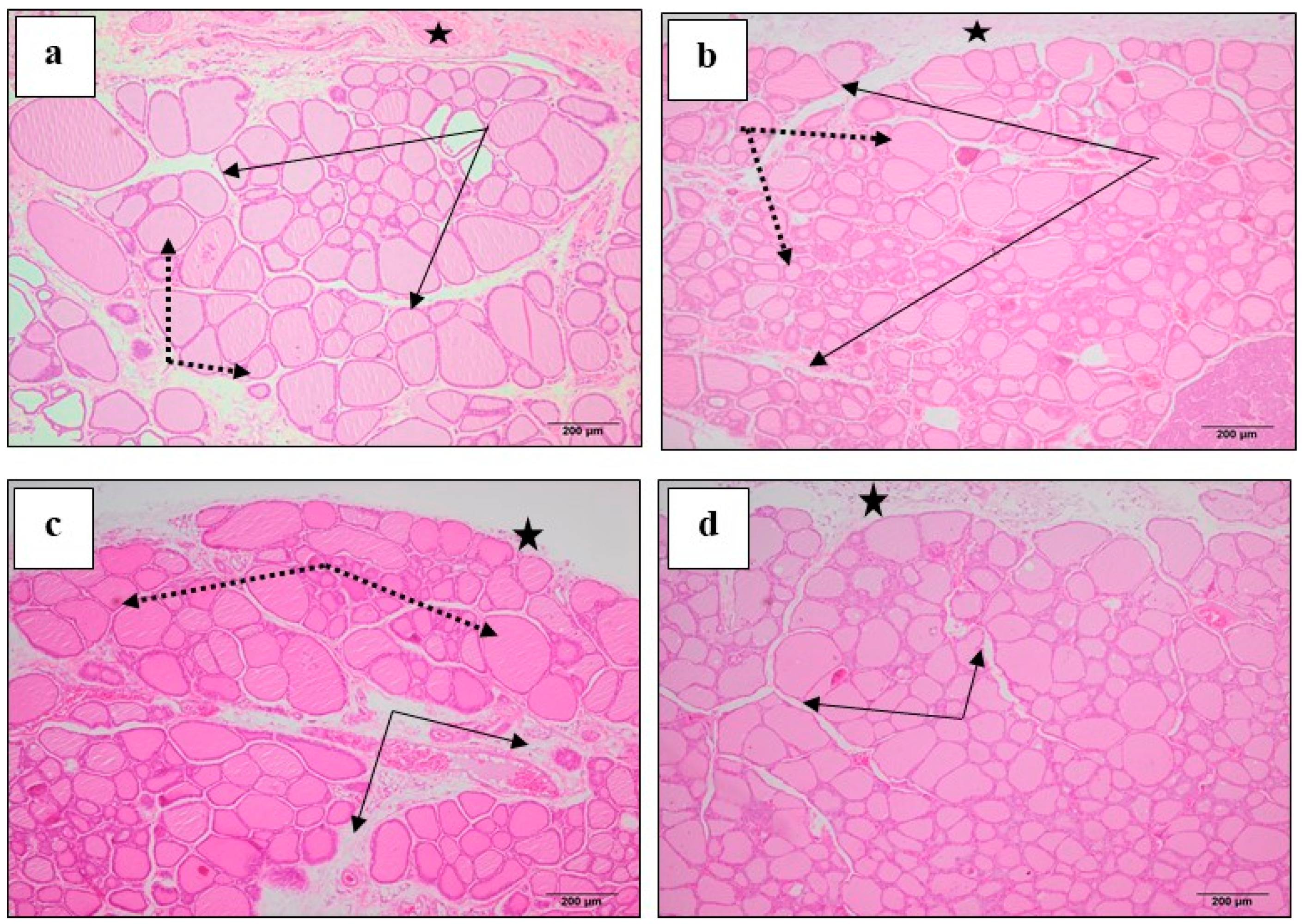 Biomolecules 10 00088 g004