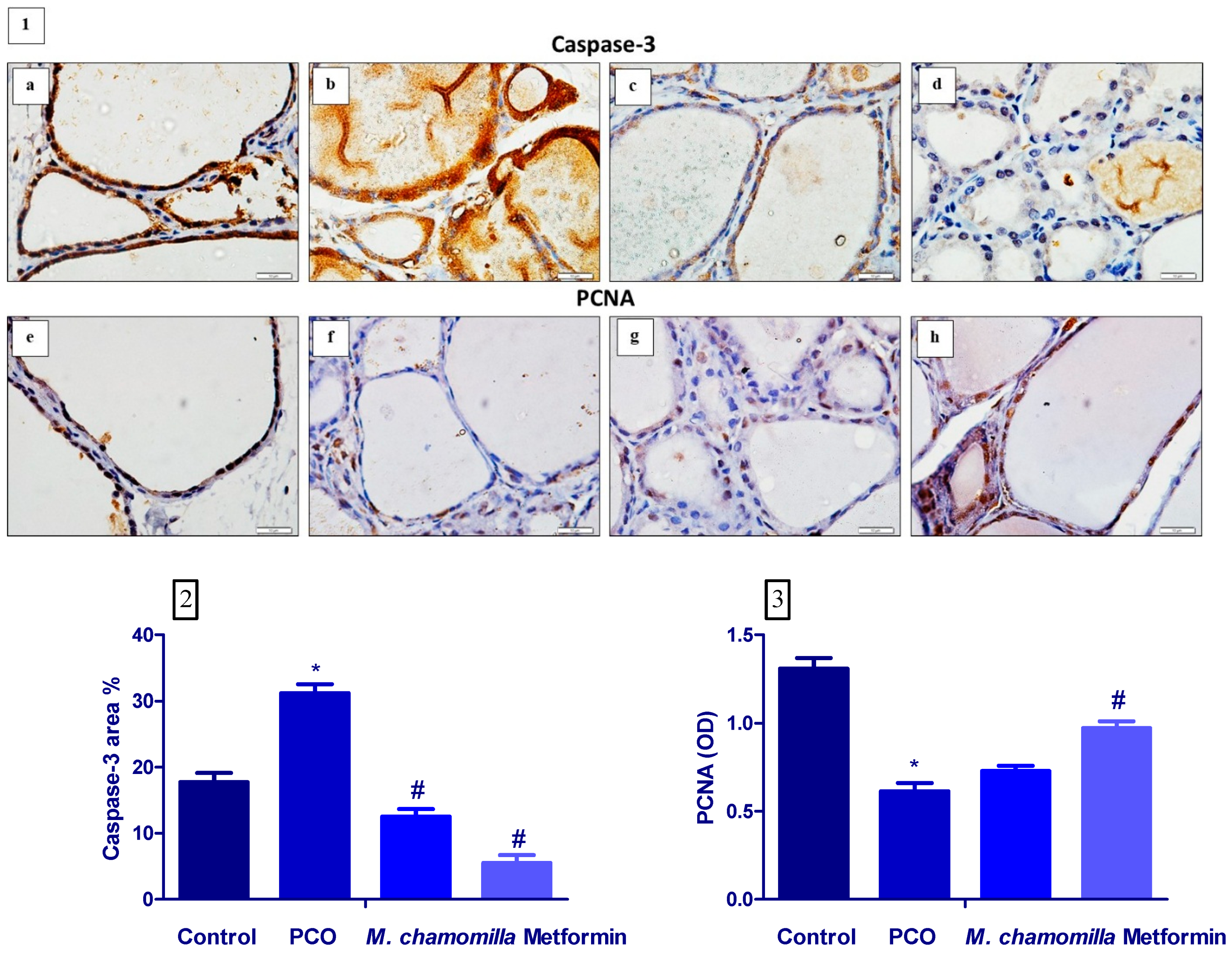 Biomolecules 10 00088 g007