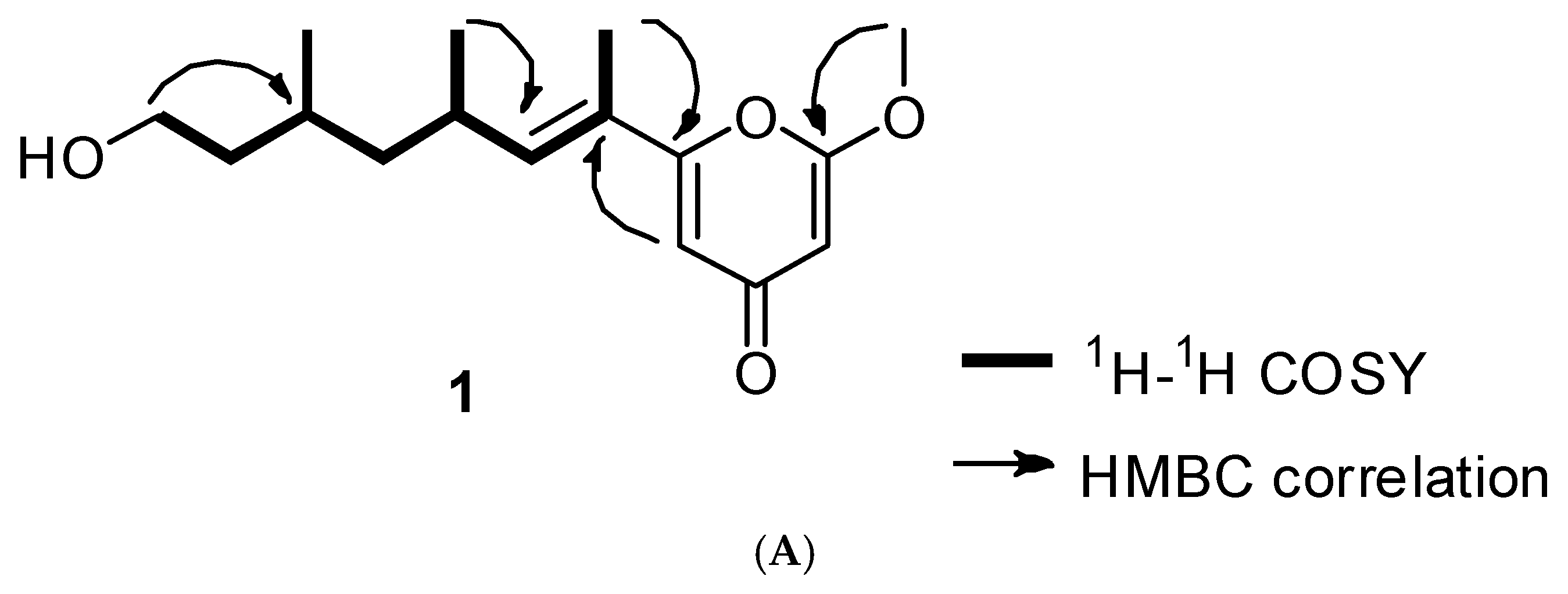 Biomolecules 10 00091 g002a Biomolecules 10 00091 g002a