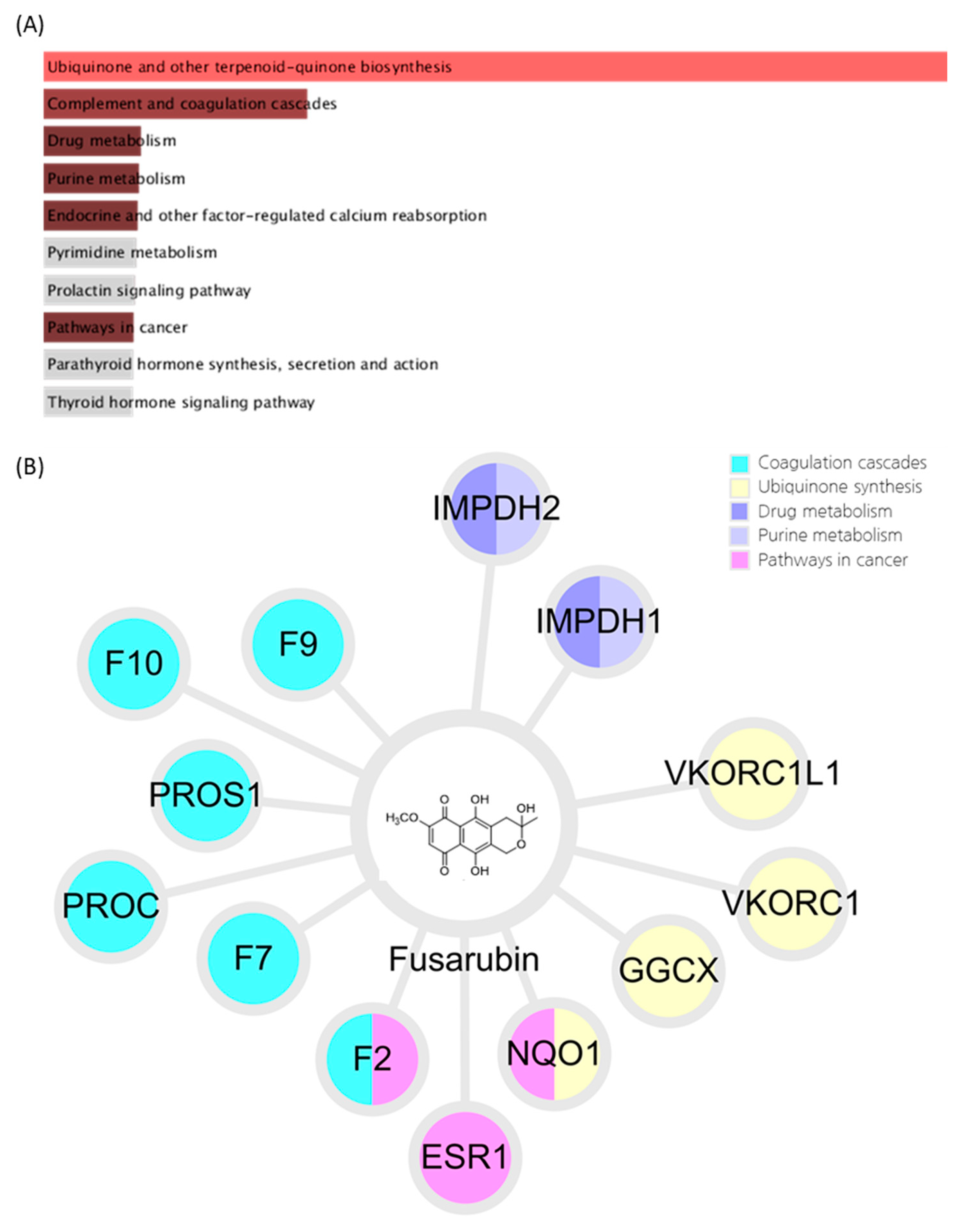 Biomolecules 10 00091 g005 Biomolecules 10 00091 g005