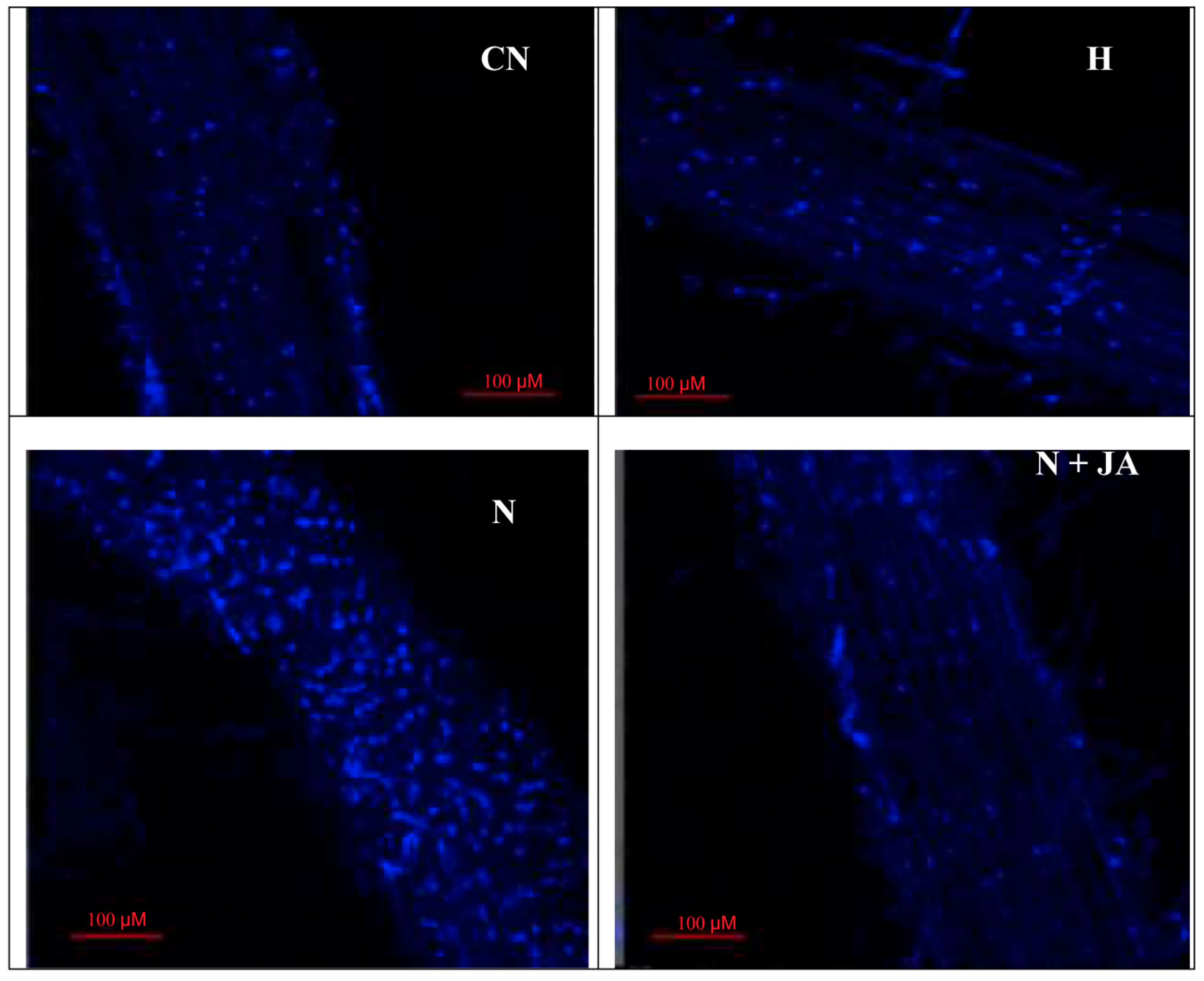 Biomolecules 10 00098 g003 Biomolecules 10 00098 g003