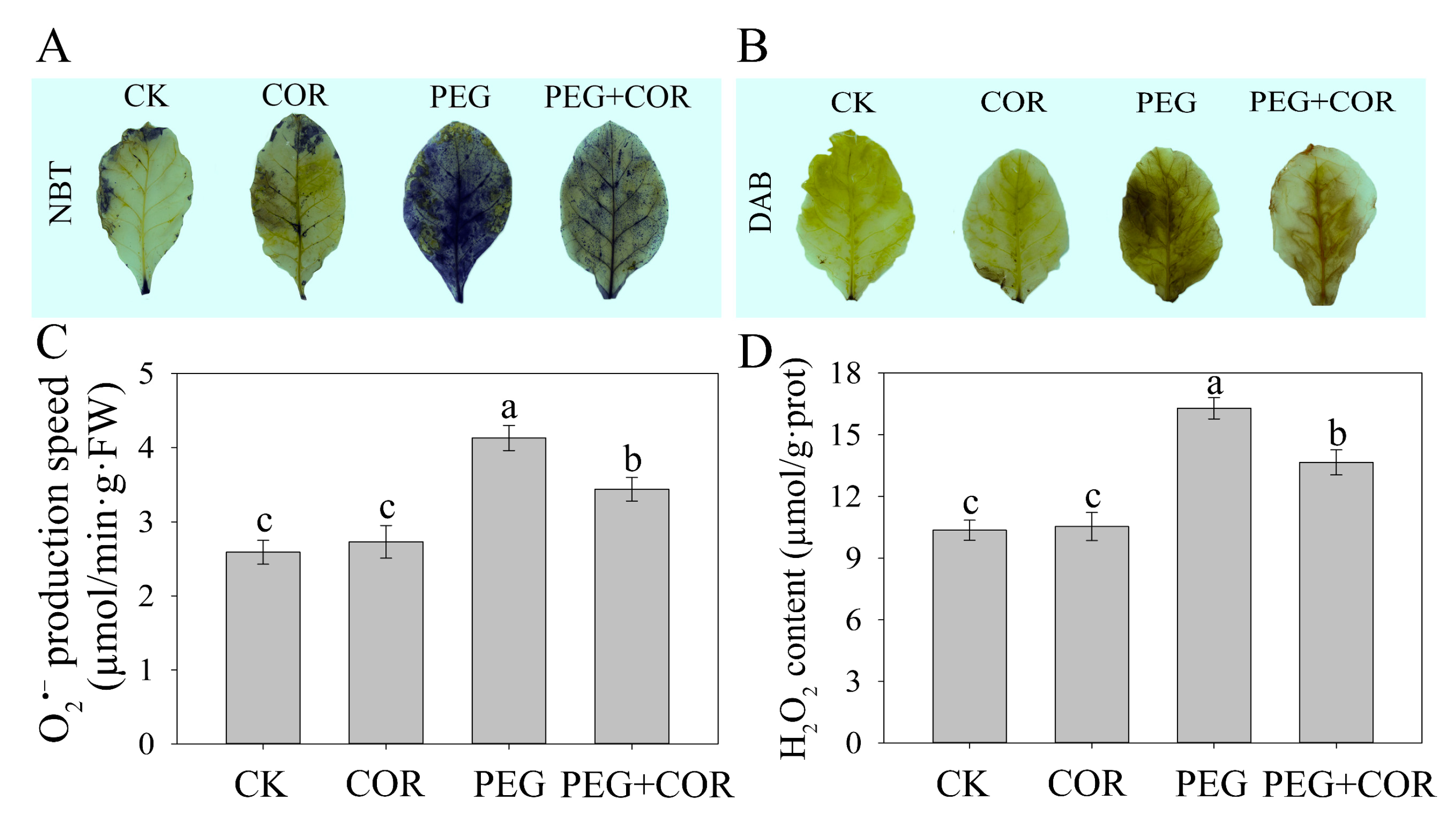 Biomolecules 10 00099 g002 Biomolecules 10 00099 g002