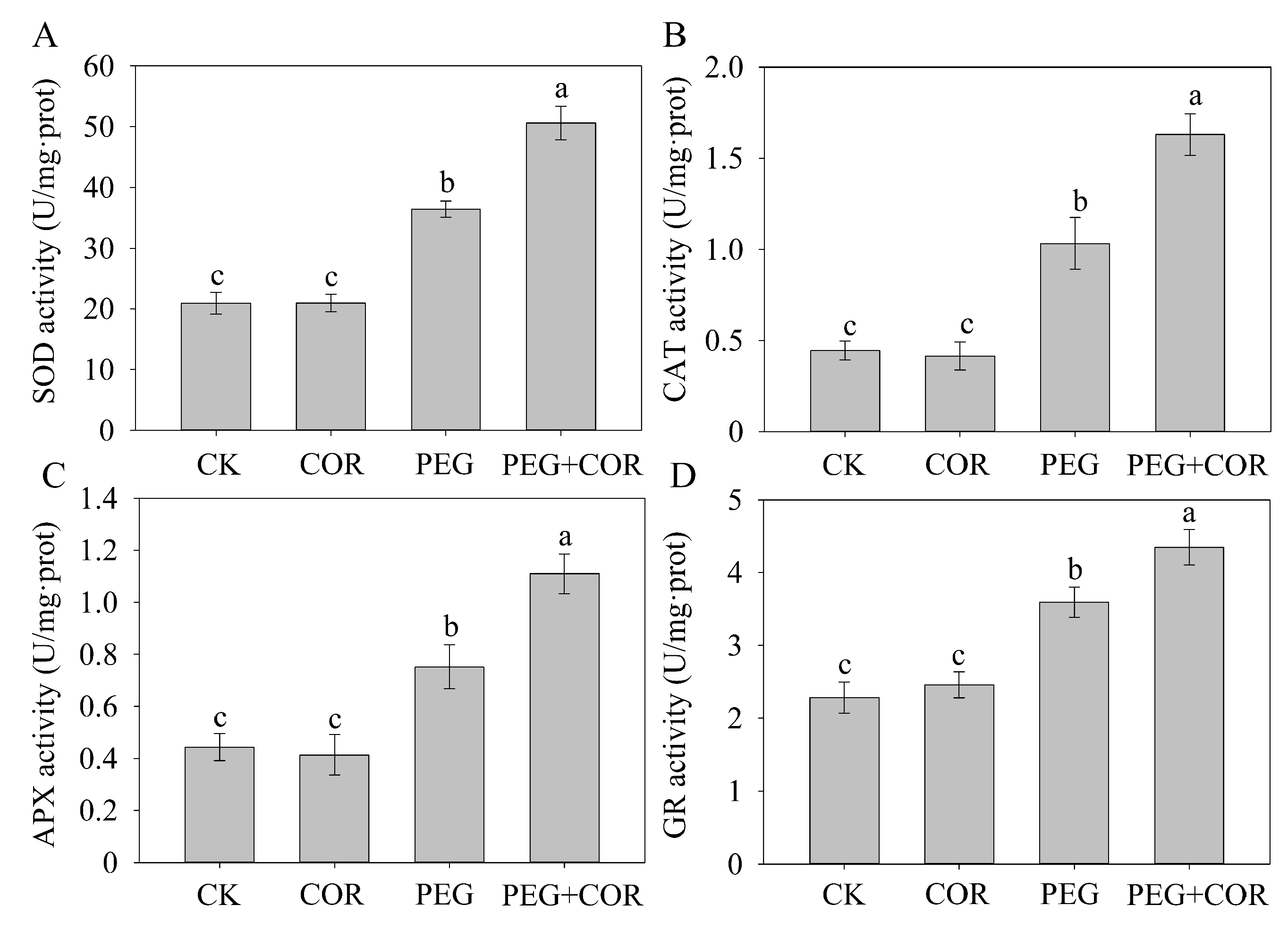 Biomolecules 10 00099 g003 Biomolecules 10 00099 g003