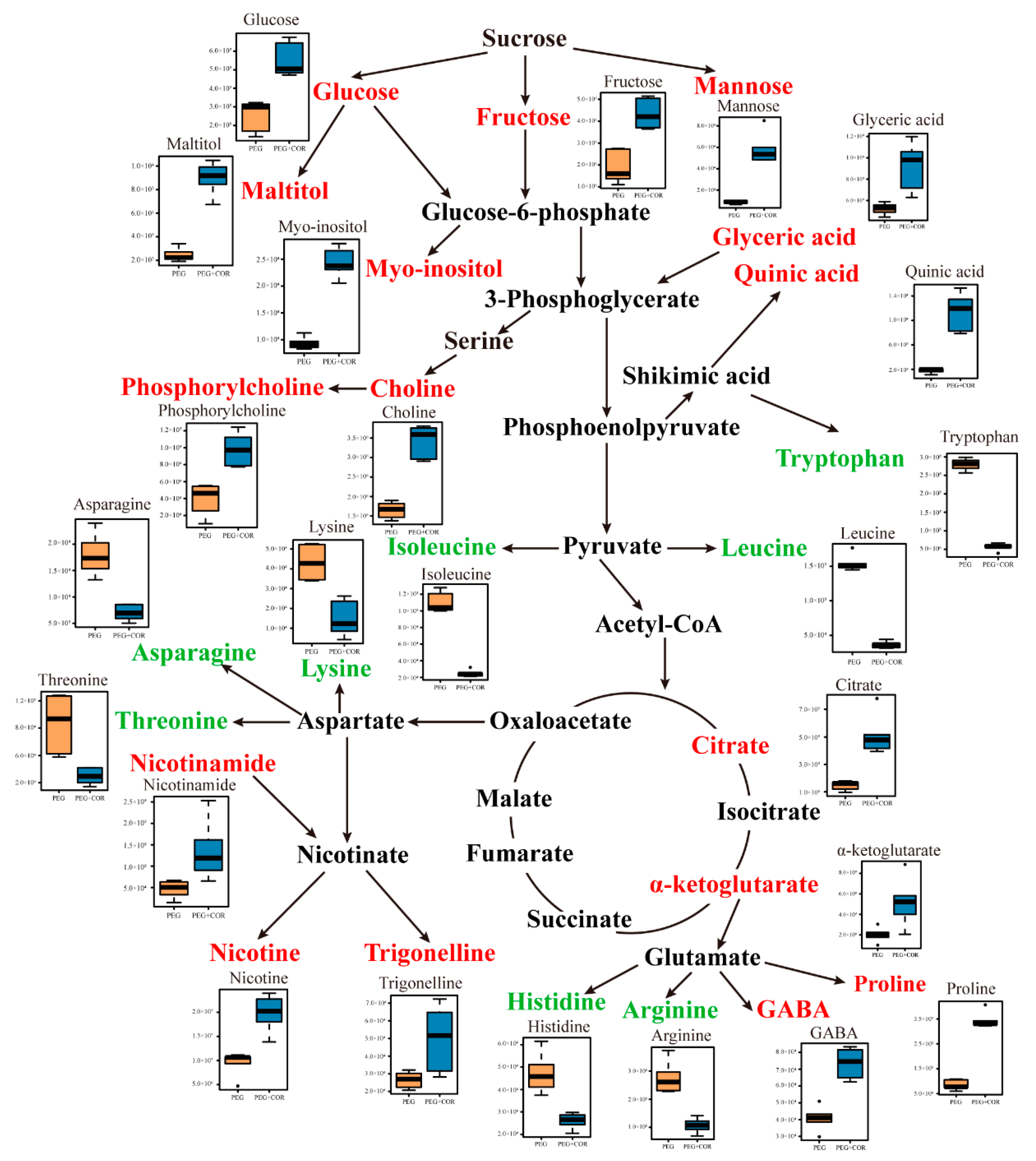 Biomolecules 10 00099 g005 Biomolecules 10 00099 g005