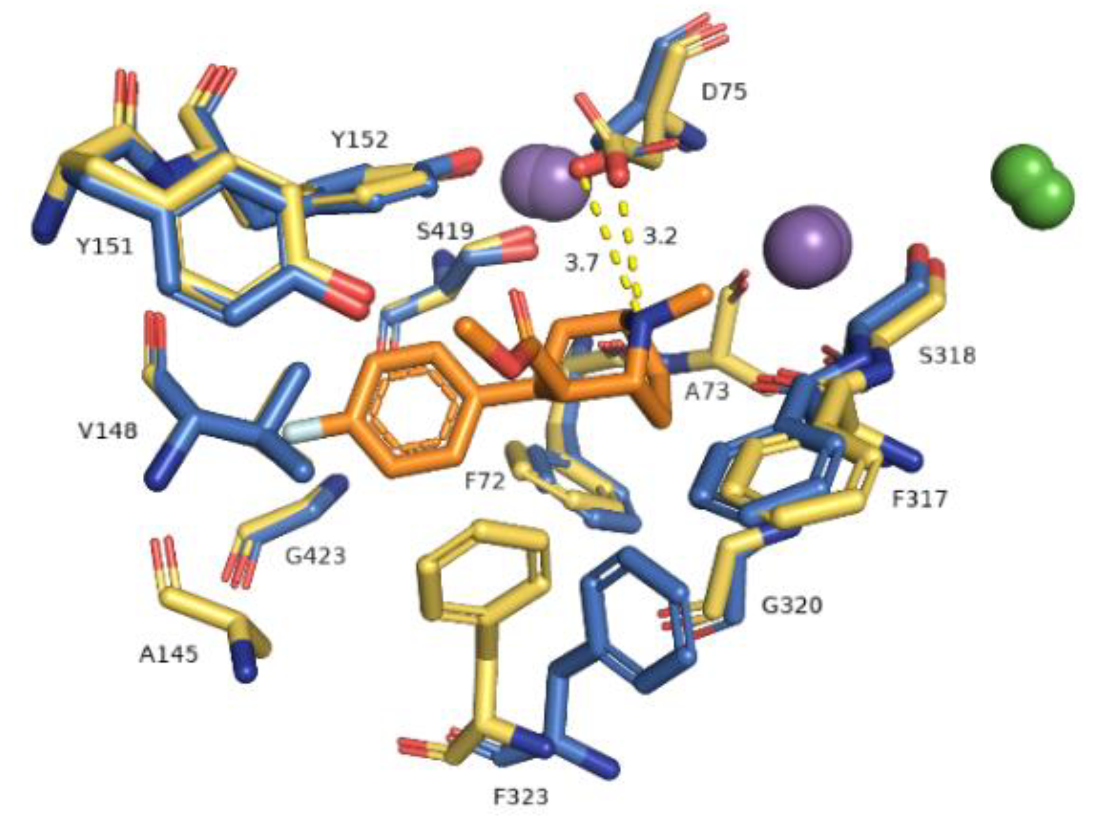 Biomolecules 10 00102 g006 Biomolecules 10 00102 g006
