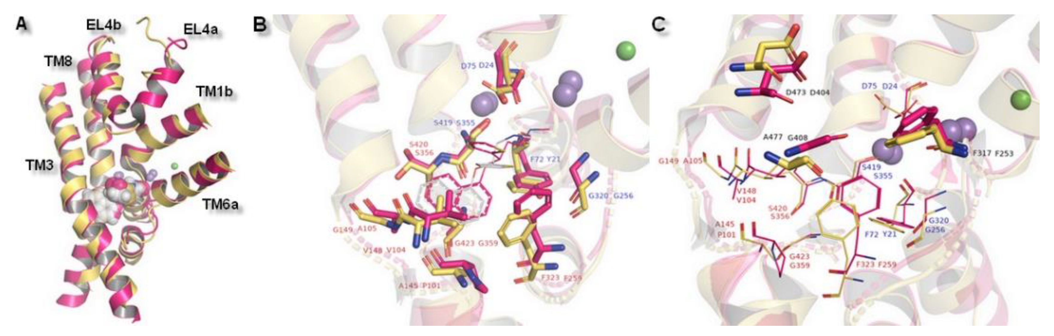 Biomolecules 10 00102 g007 Biomolecules 10 00102 g007