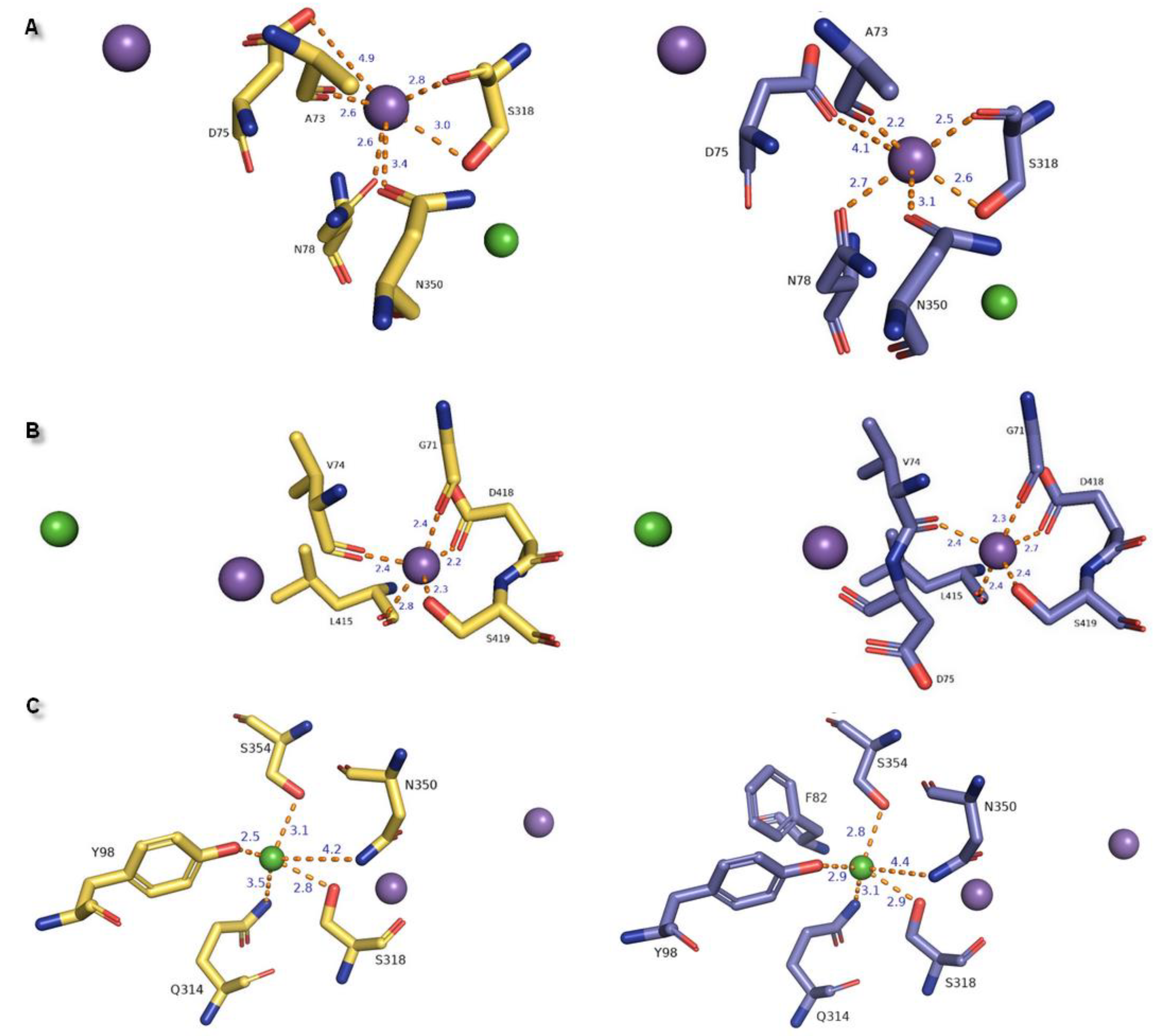 Biomolecules 10 00102 g008 Biomolecules 10 00102 g008