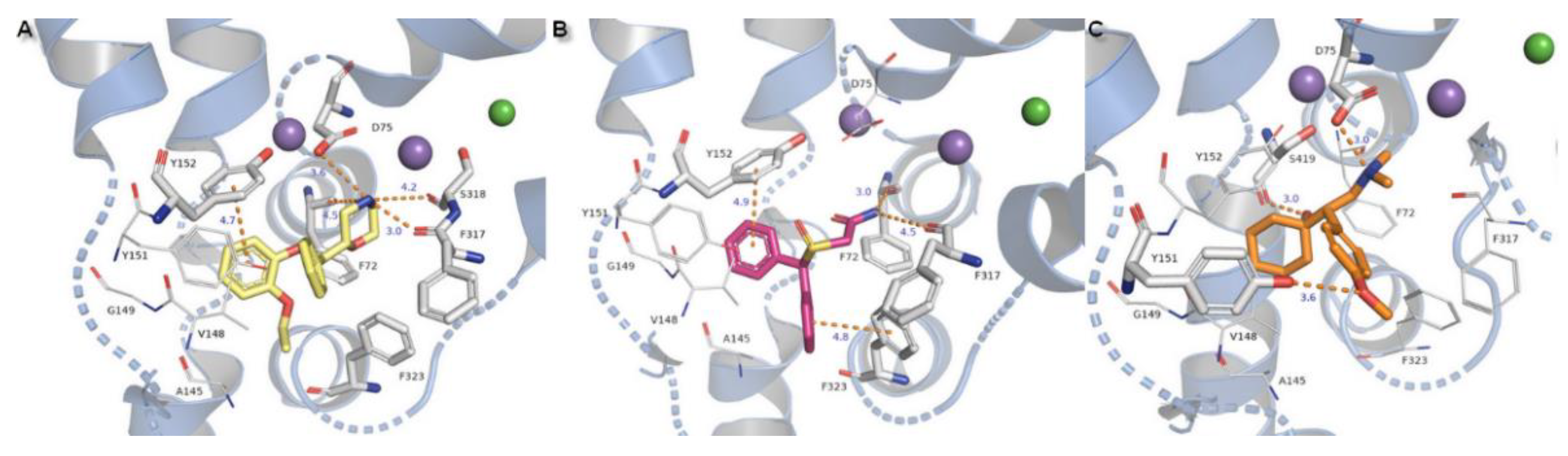 Biomolecules 10 00102 g012 Biomolecules 10 00102 g012