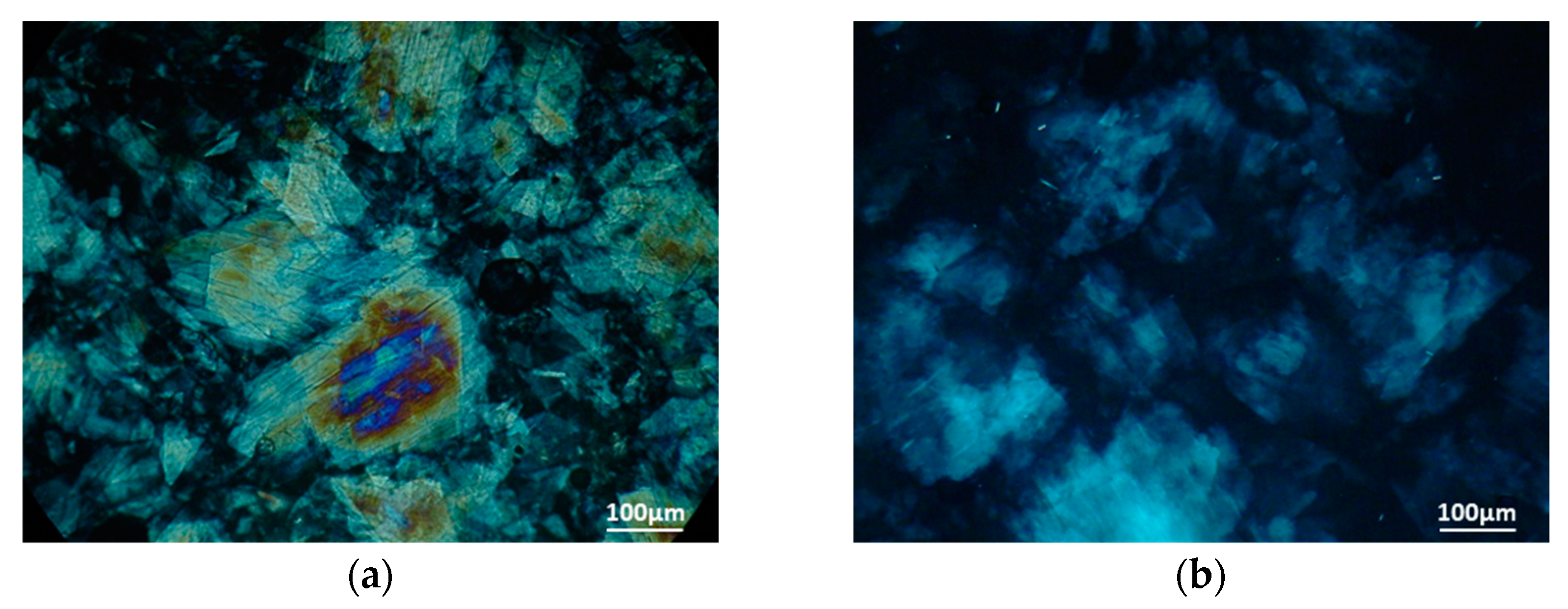 Biomolecules 10 00106 g001