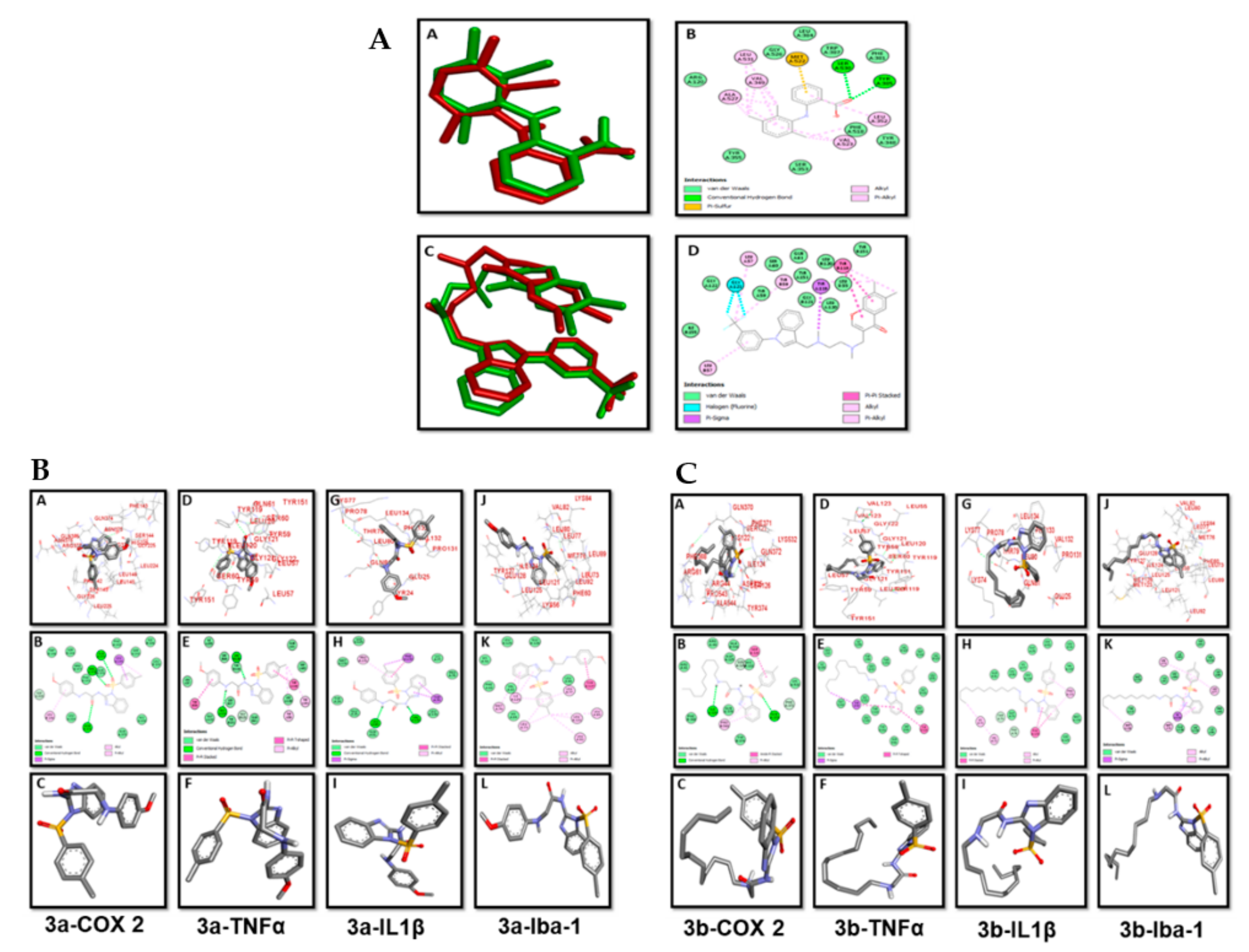 Biomolecules 10 00108 g002