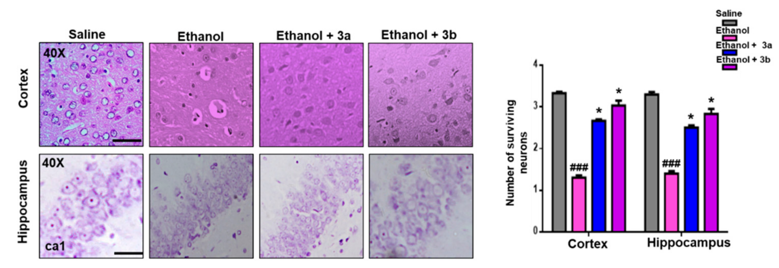 Biomolecules 10 00108 g004