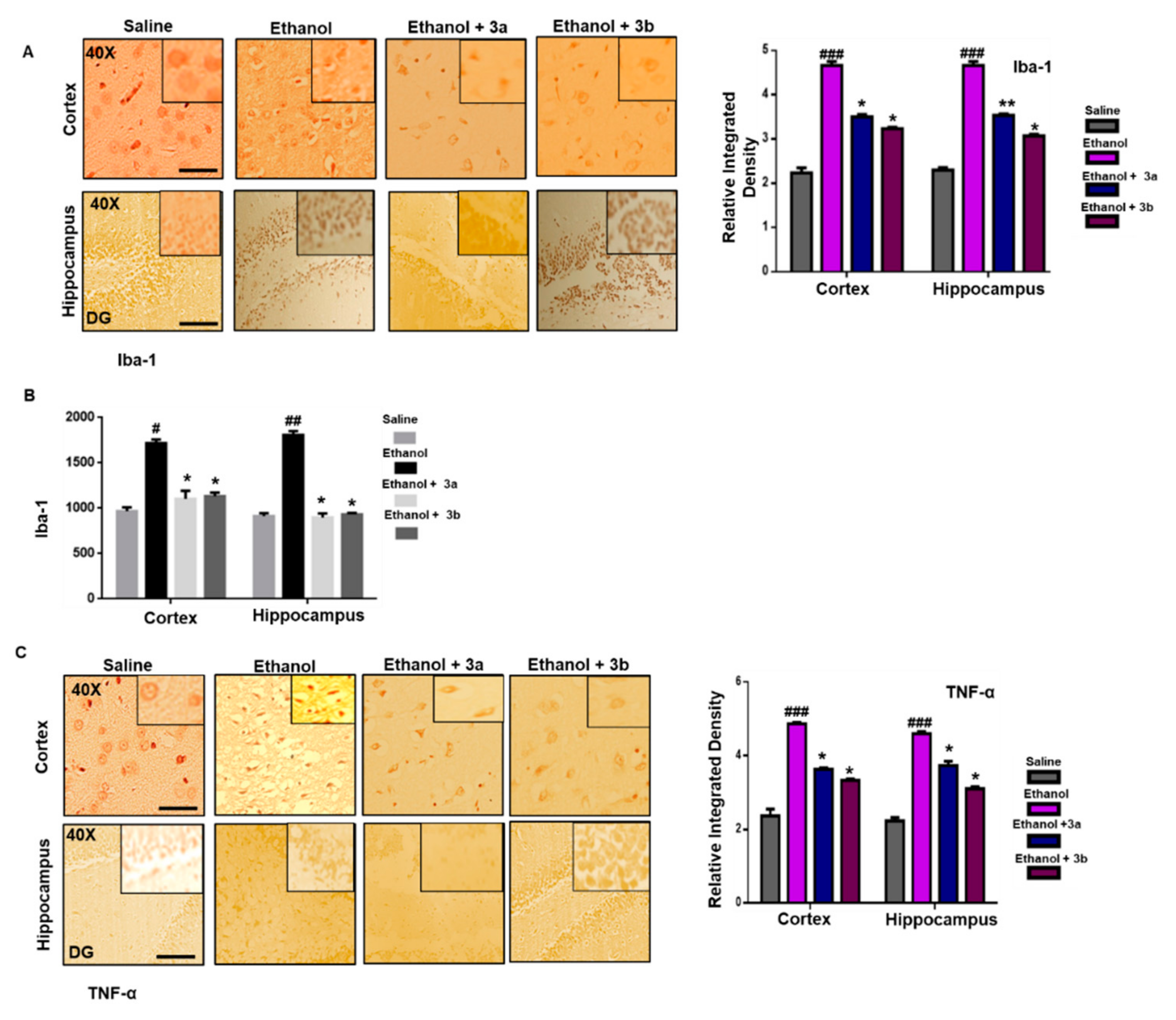 Biomolecules 10 00108 g005