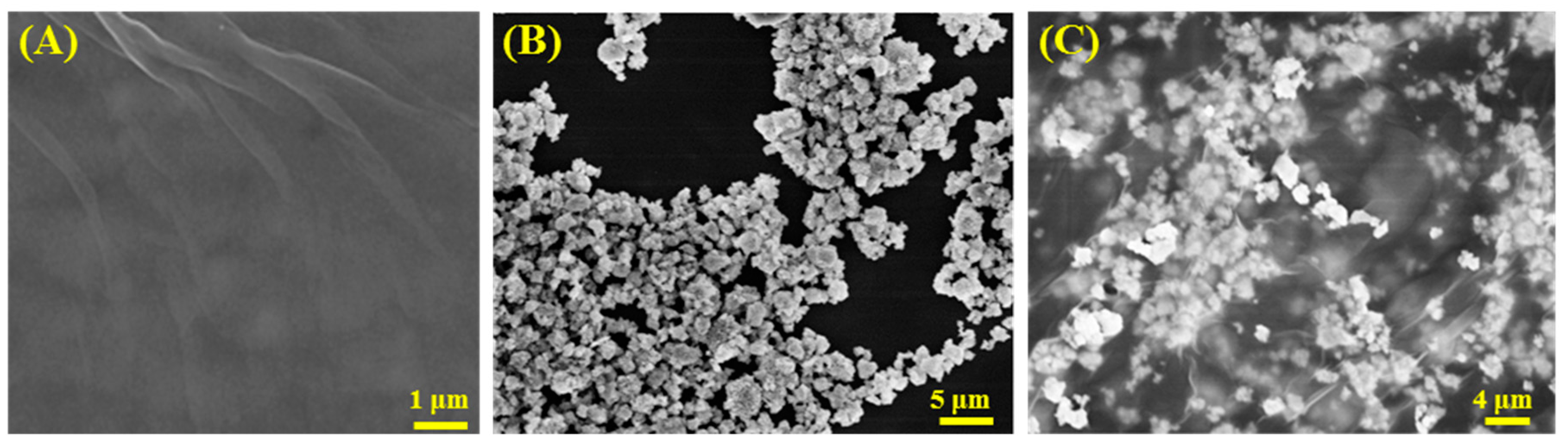 Biomolecules 10 00110 g001 Biomolecules 10 00110 g001