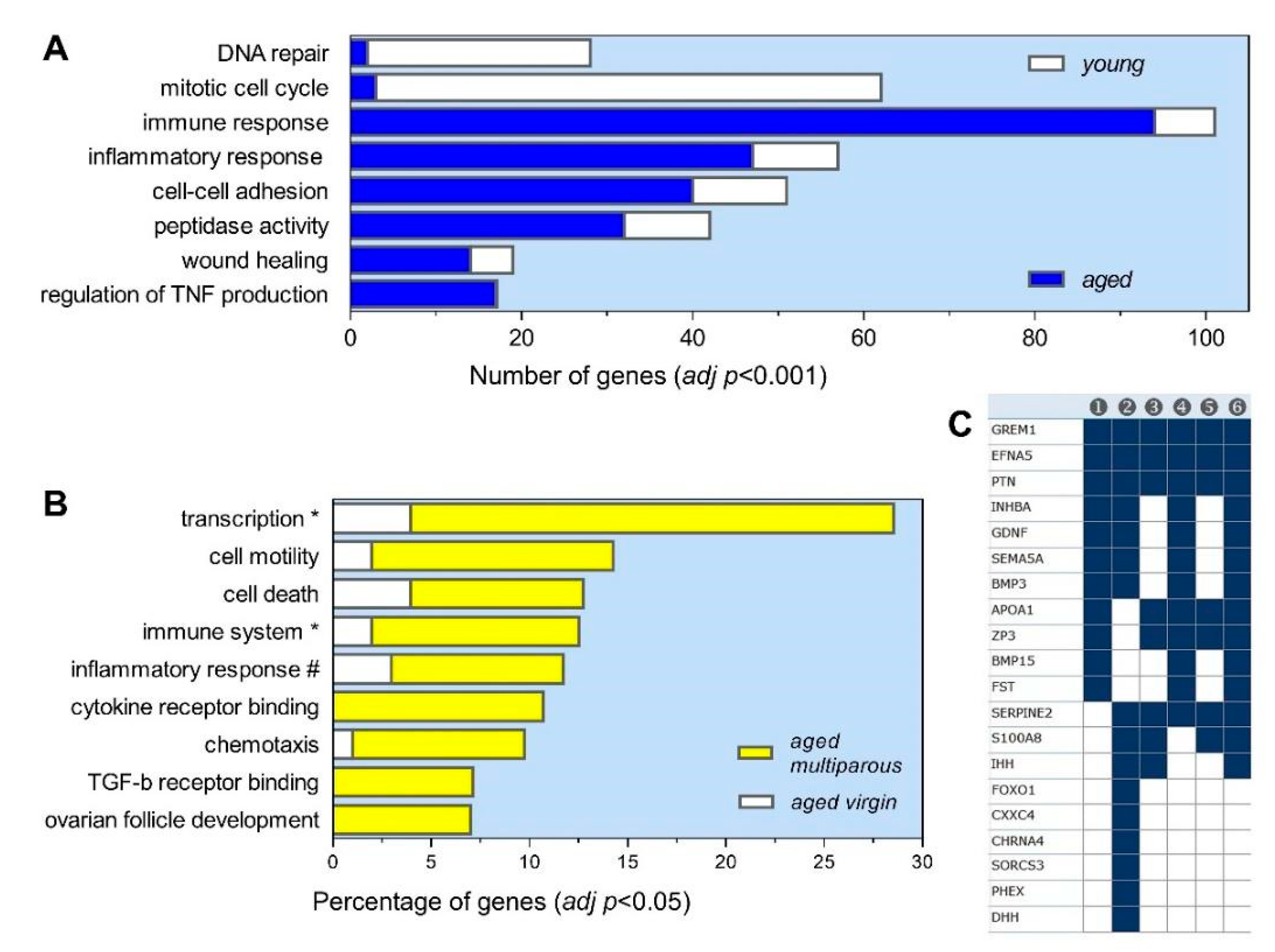 Biomolecules 10 00113 g003