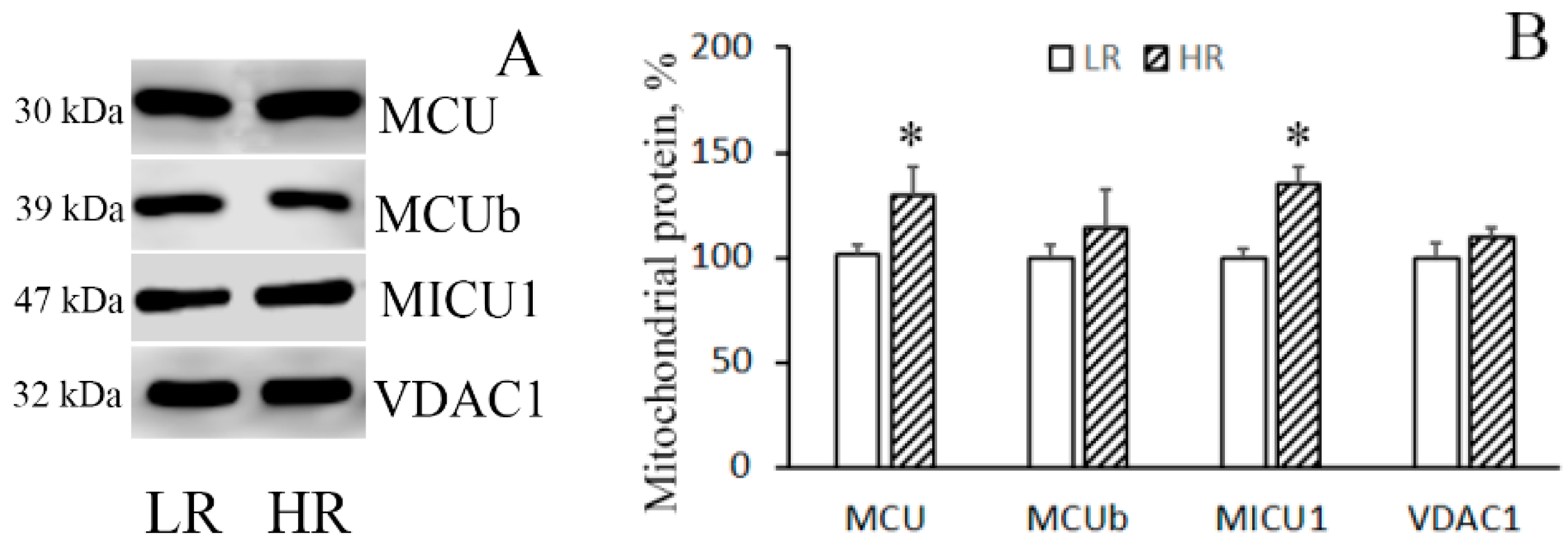 Biomolecules 10 00114 g002a