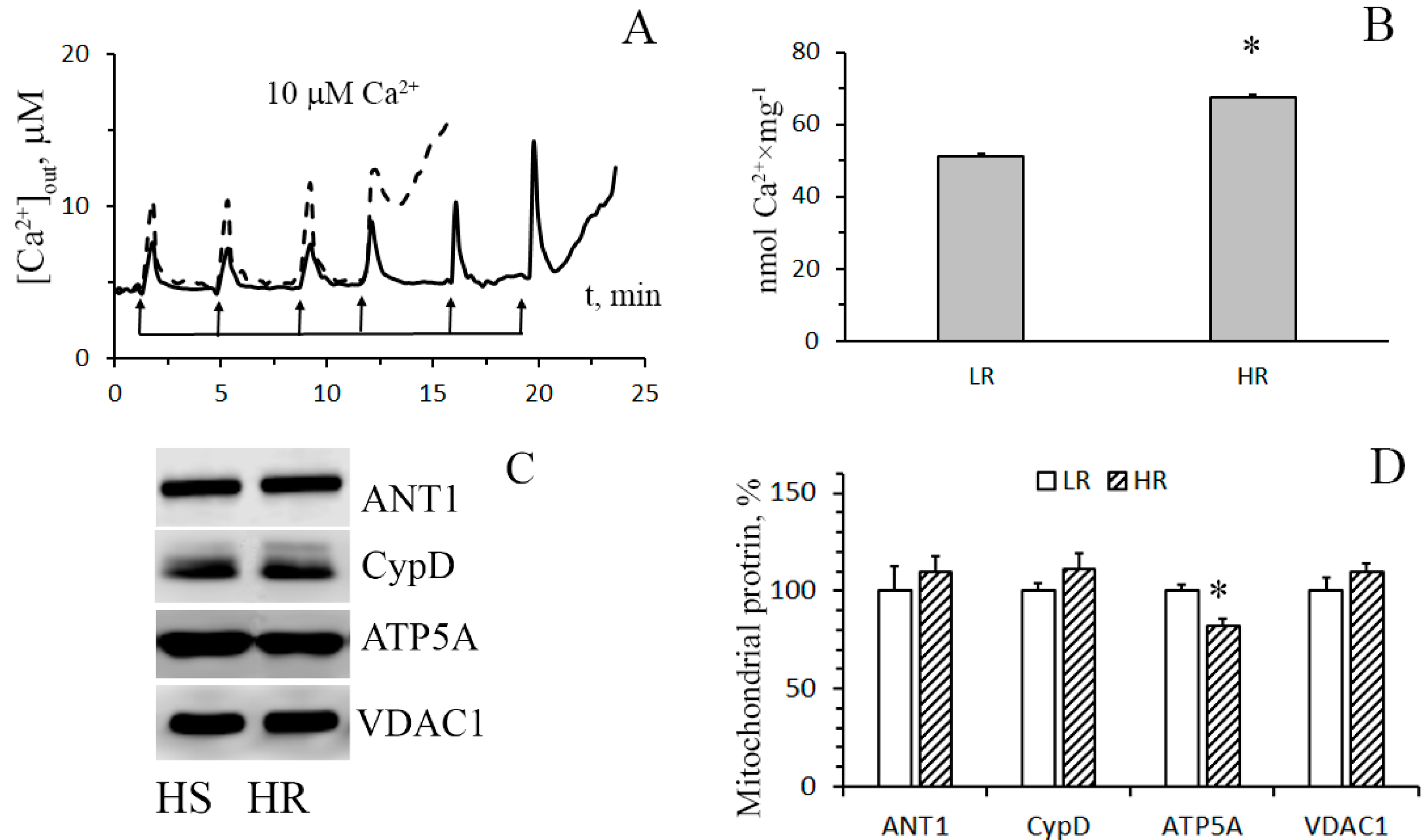 Biomolecules 10 00114 g004