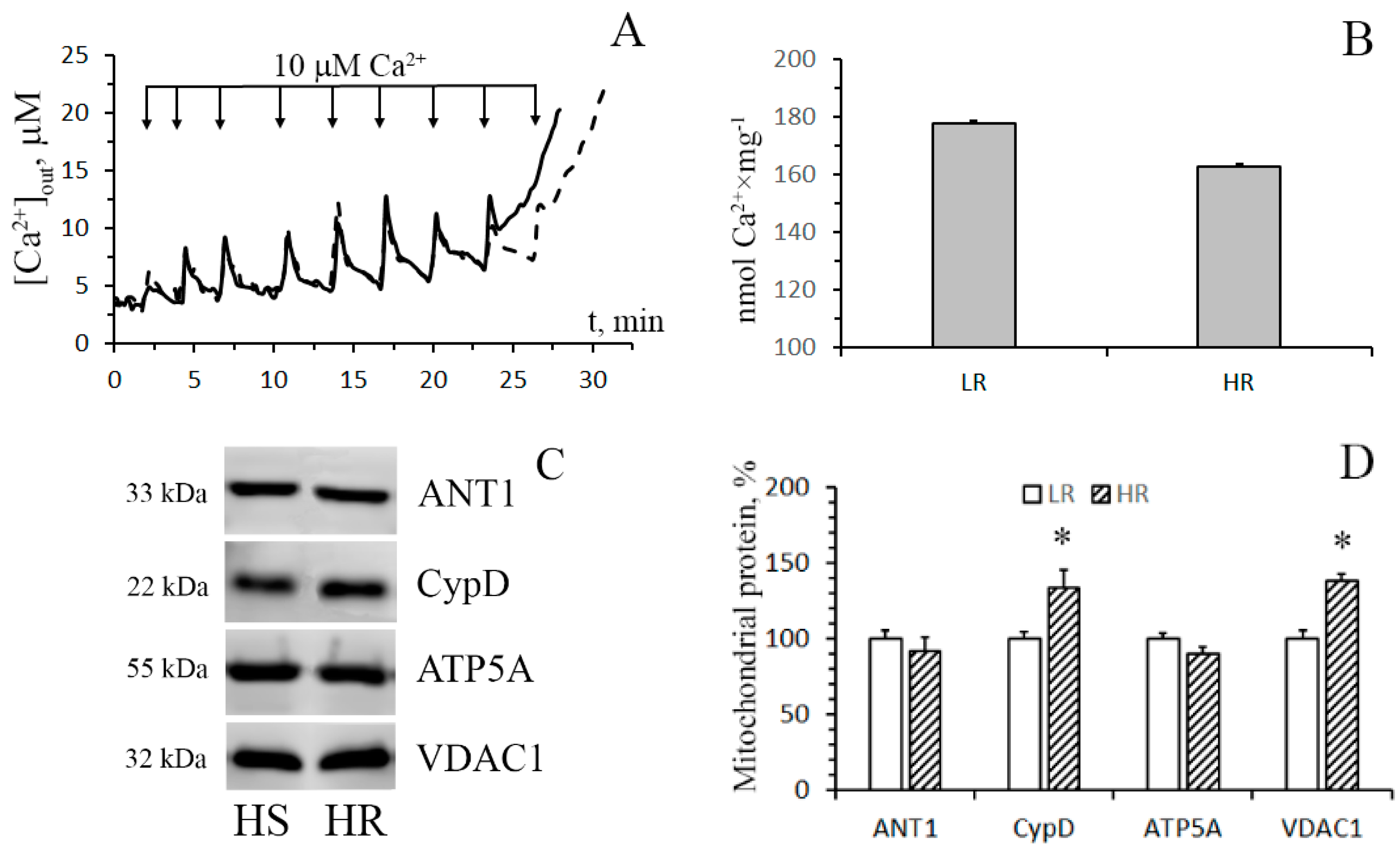 Biomolecules 10 00114 g006