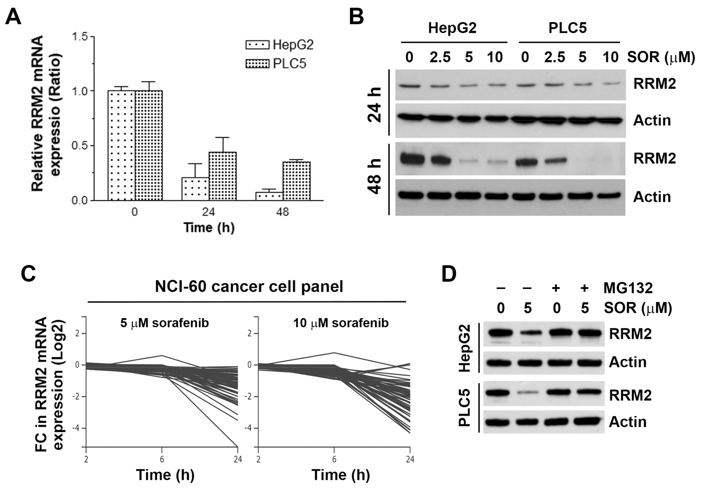 Biomolecules 10 00117 g003