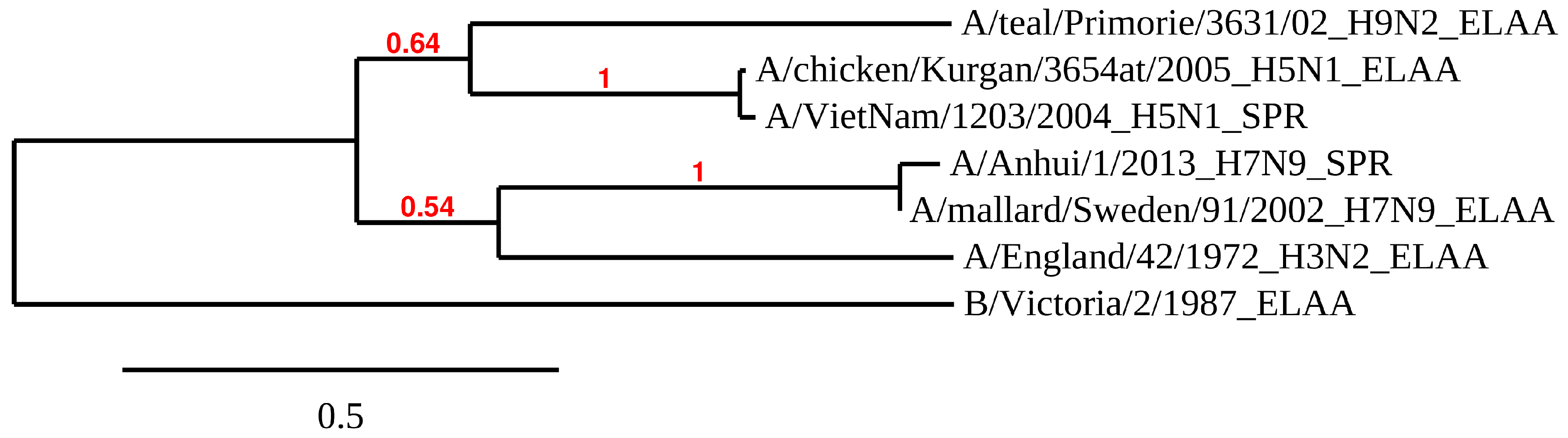 Biomolecules 10 00119 g006 Biomolecules 10 00119 g006