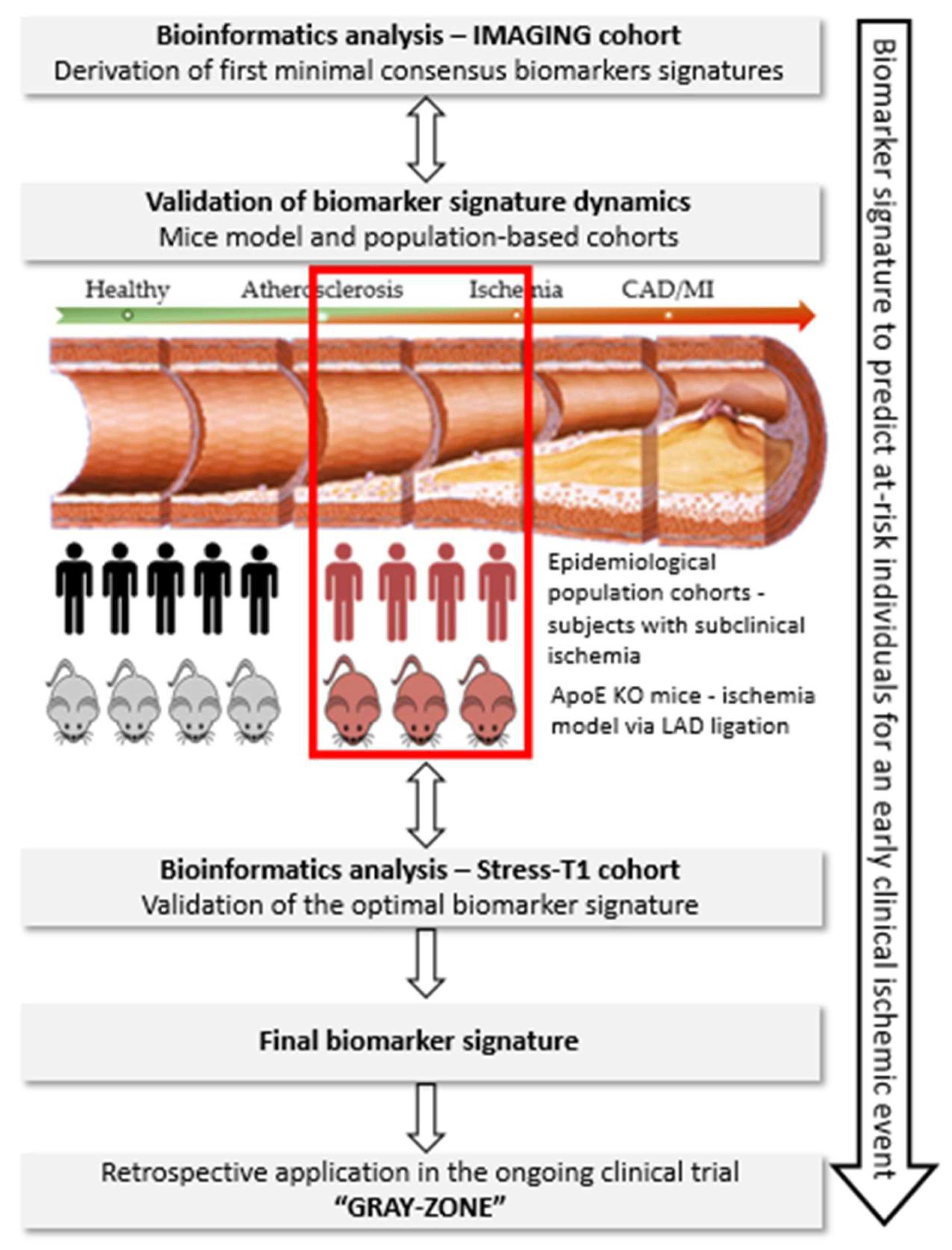 Biomolecules 10 00125 g001