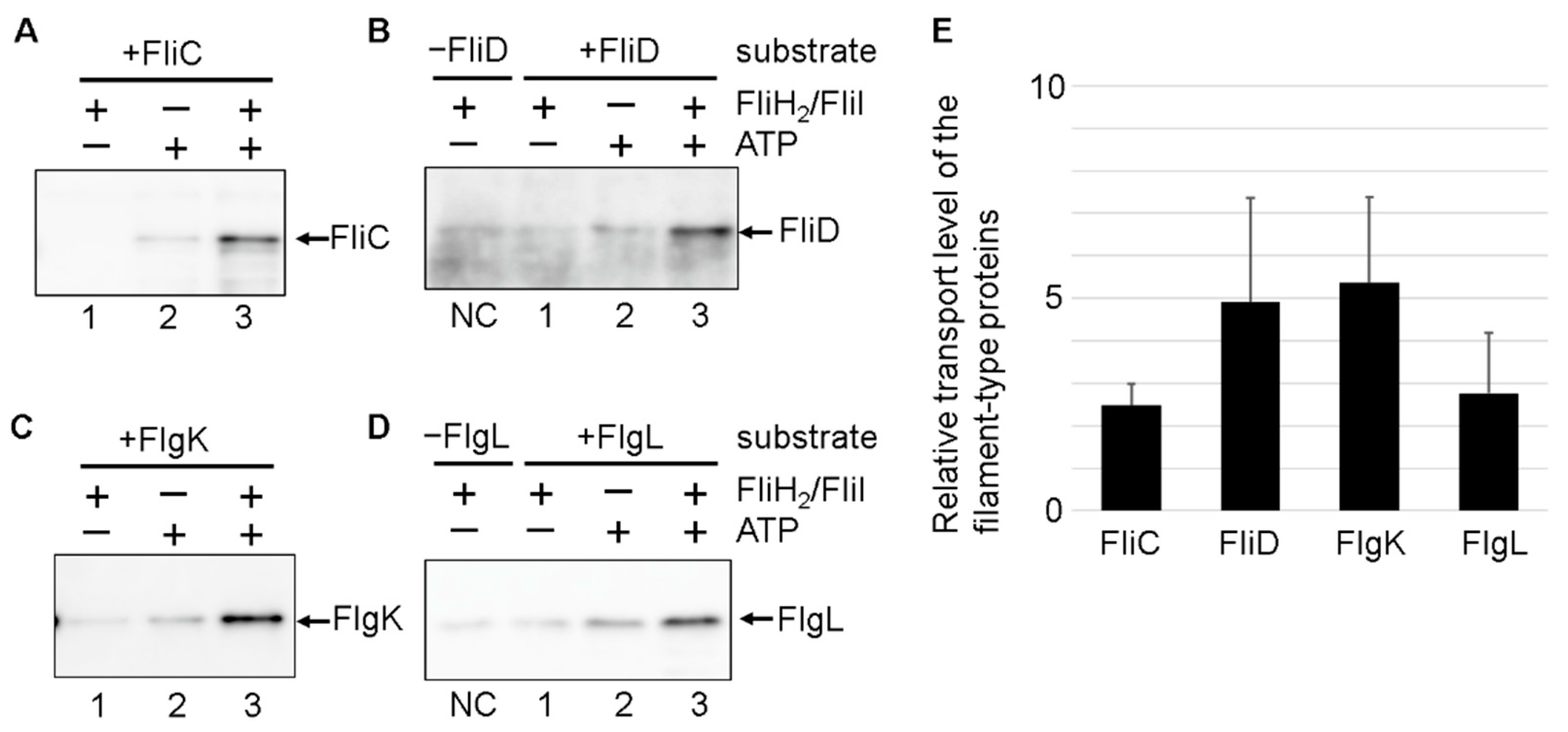 Biomolecules 10 00126 g003 Biomolecules 10 00126 g003