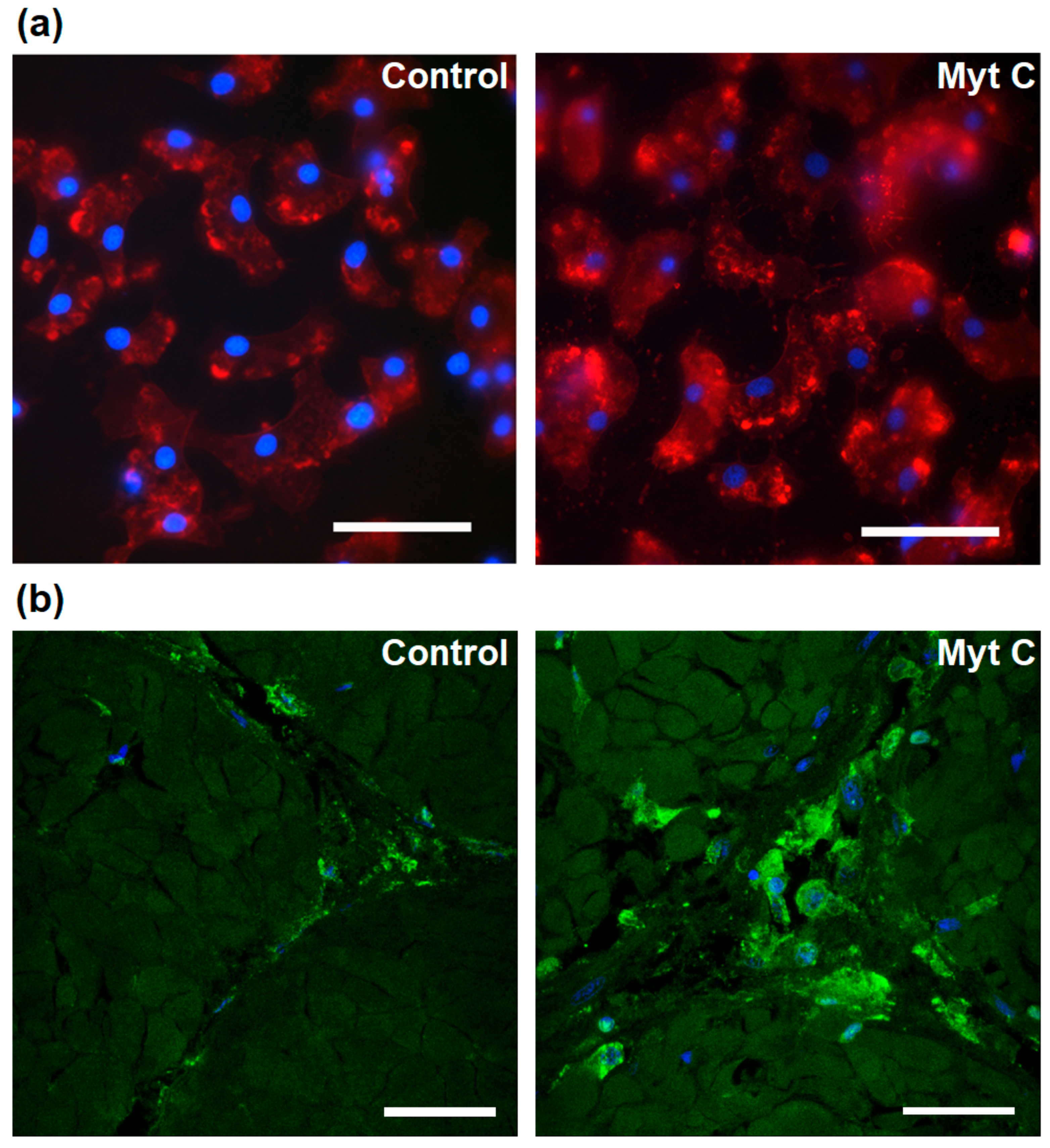 Biomolecules 10 00133 g002