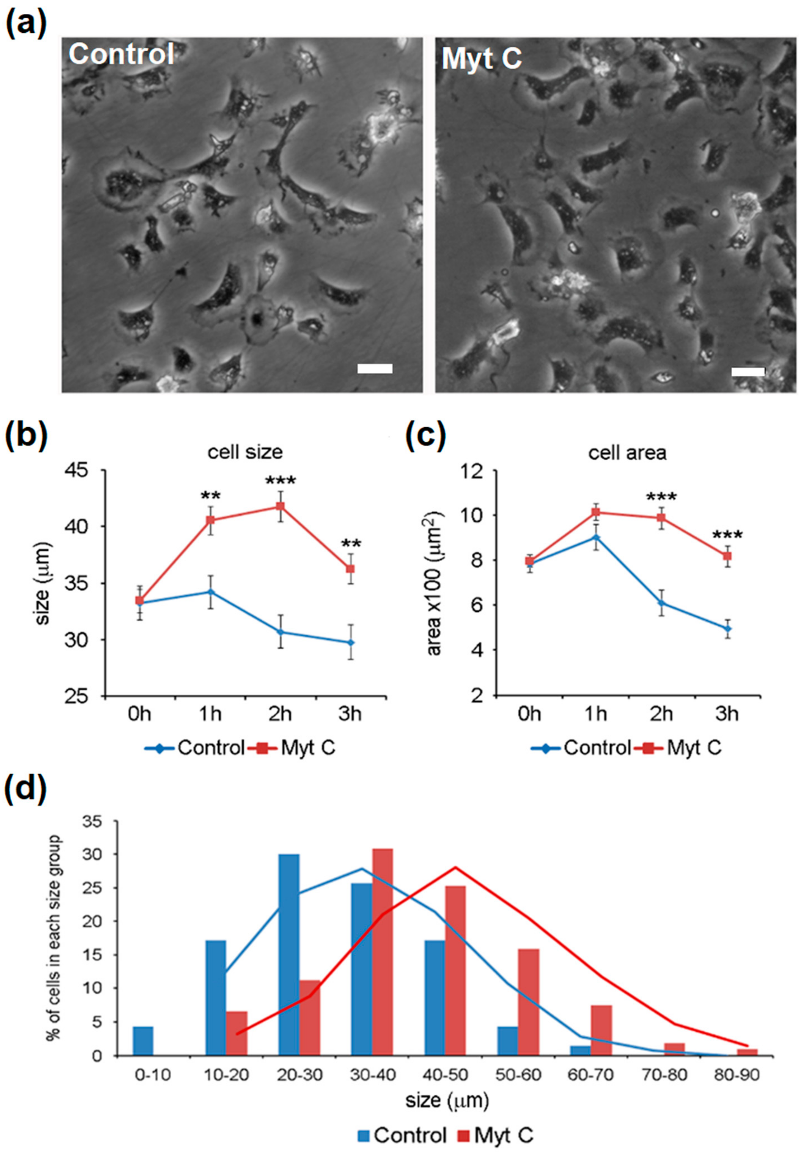 Biomolecules 10 00133 g003